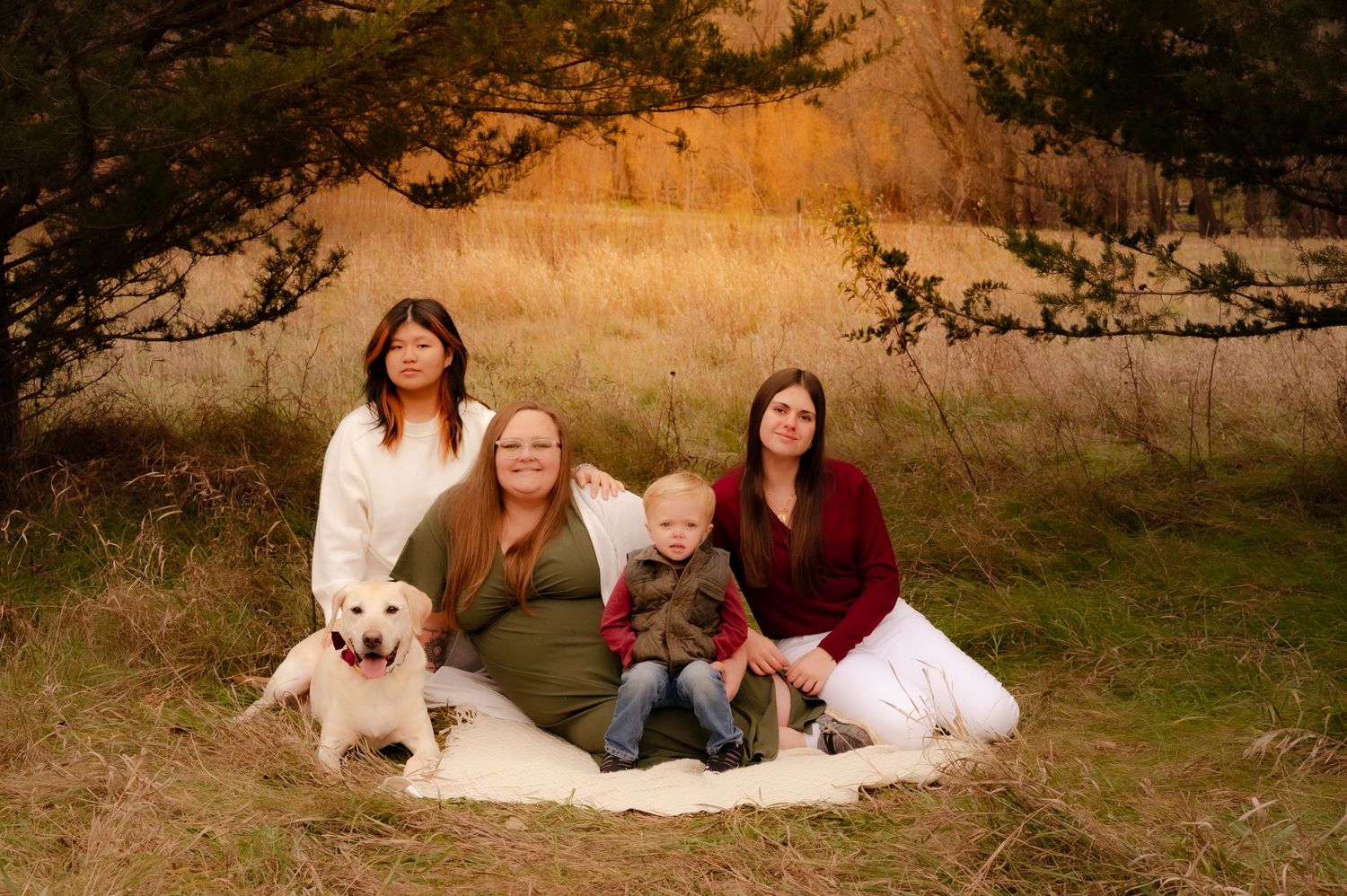 A series of outdoor family portrait photographs taken at sunset in a rustic field setting with warm golden lighting.