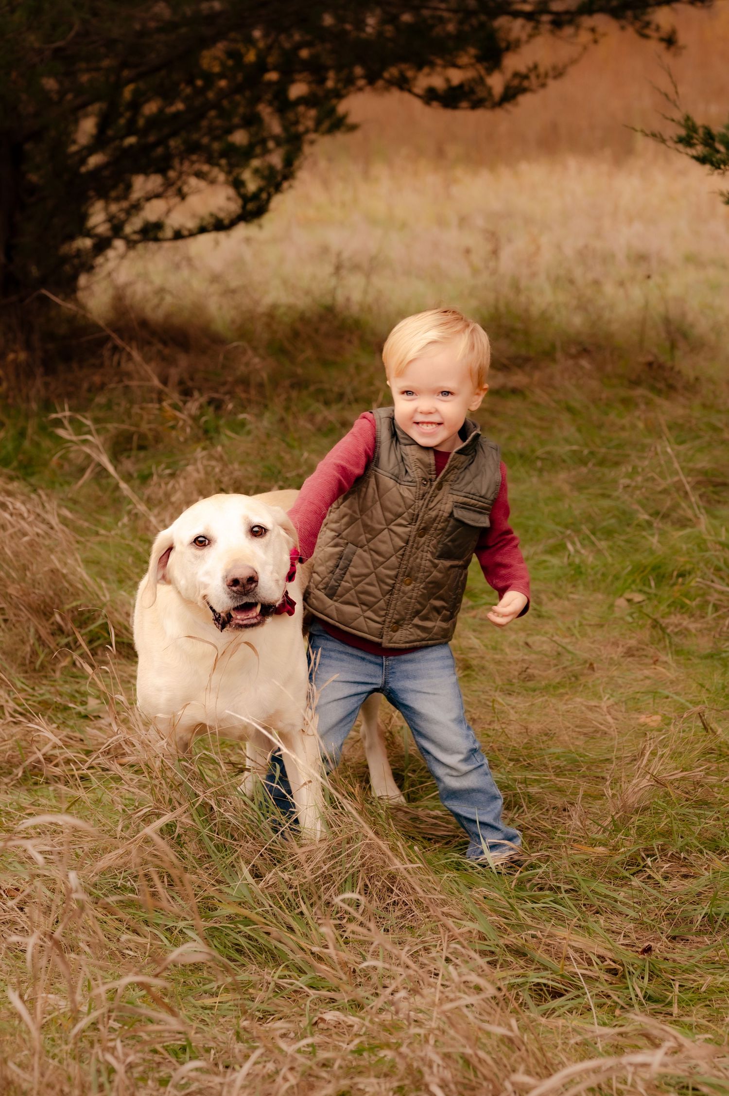 A young child in a brown vest stands next to a happy yellow Labrador retriever in a grassy field.