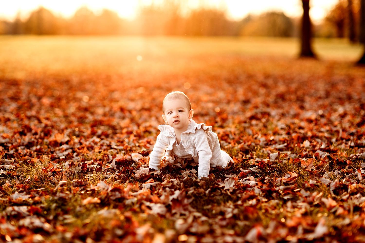 A baby wearing a white outfit crawls on a field blanketed with autumn leaves. The background is softly illuminated by a warm glowing sunset