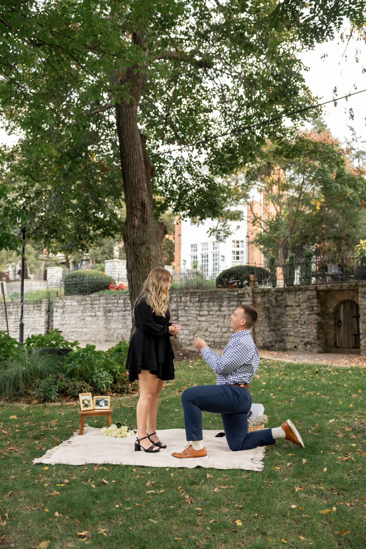 A romantic proposal scene unfolds on a blanket under trees near a stone wall.