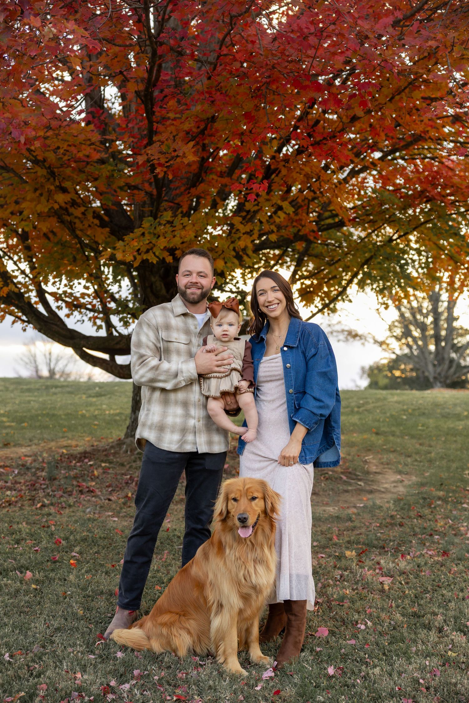 Family portrait with golden retriever under vibrant red autumn maple trees.