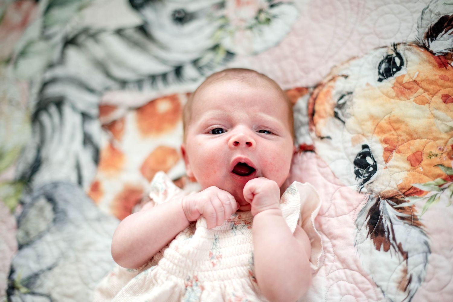 Newborn photo of baby looking at camera