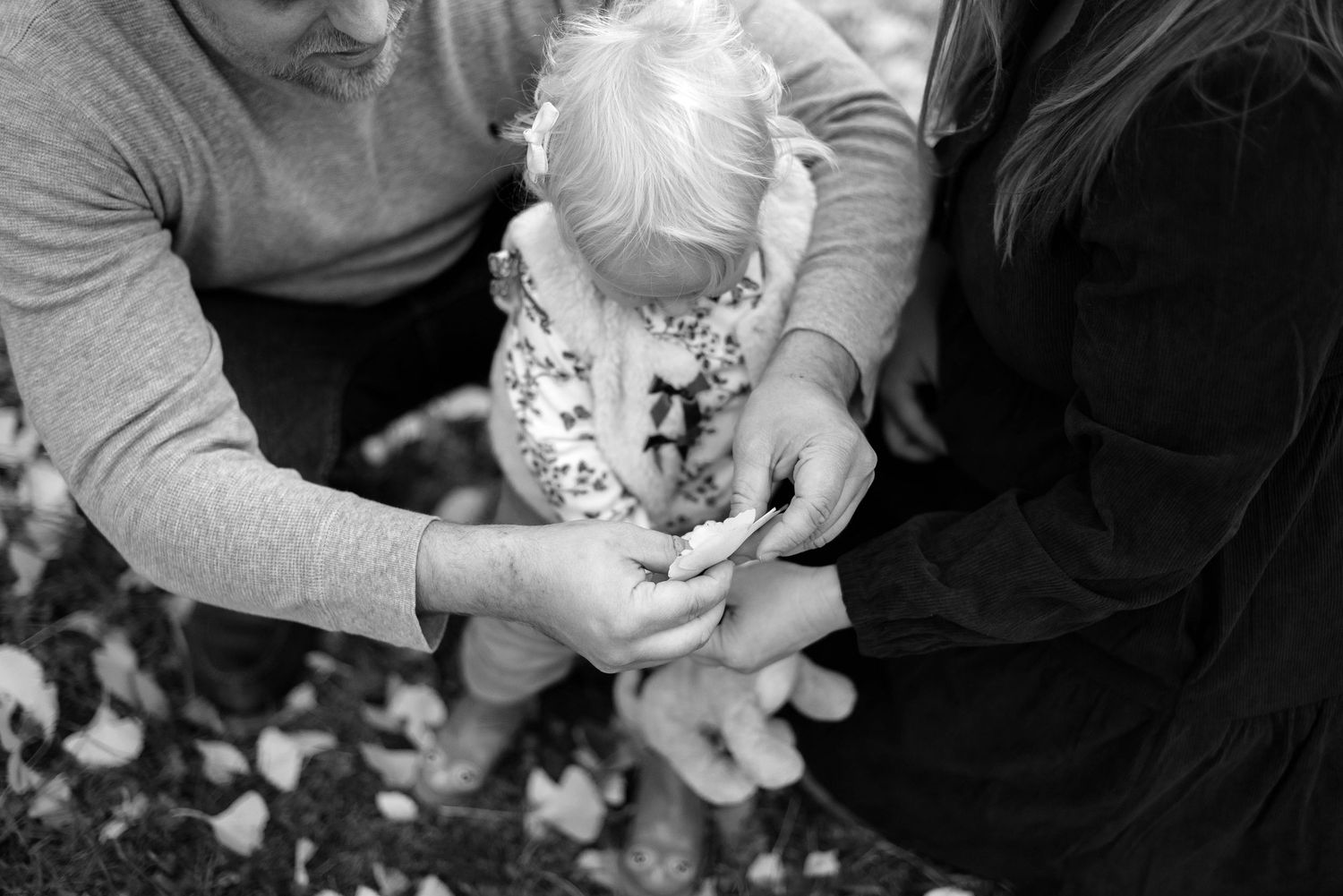 Black and white family photo playing with leaves during family session.