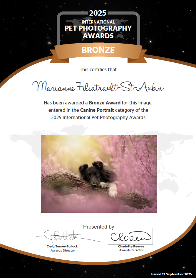 international-pet-photography-awards-prize