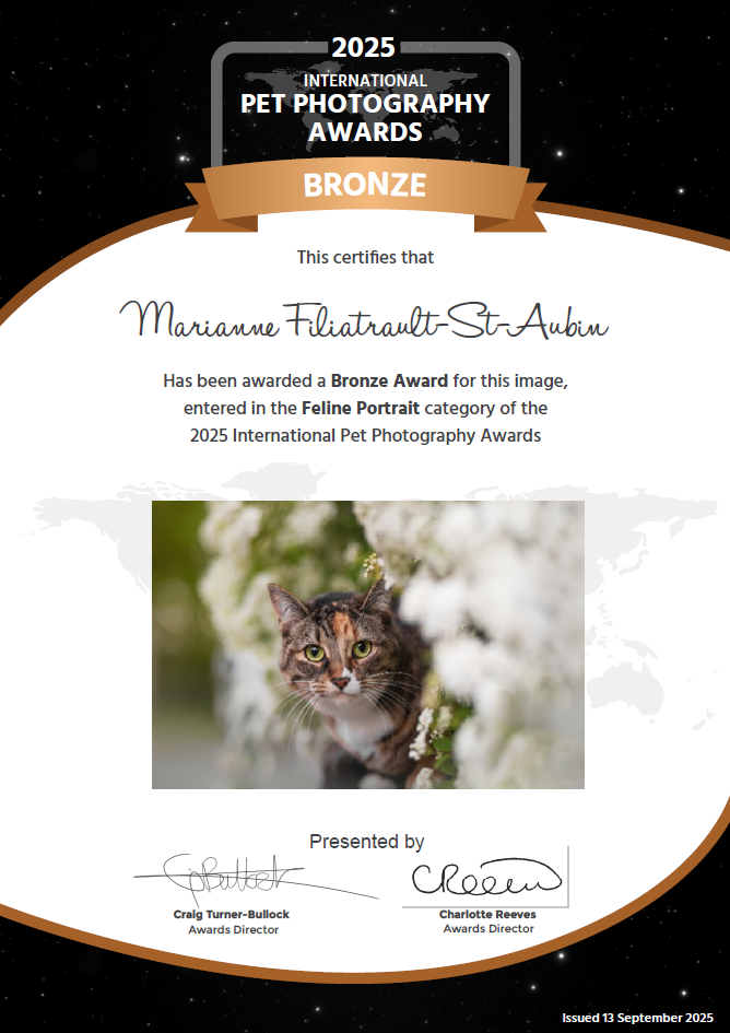 international-pet-photography-awards-prize