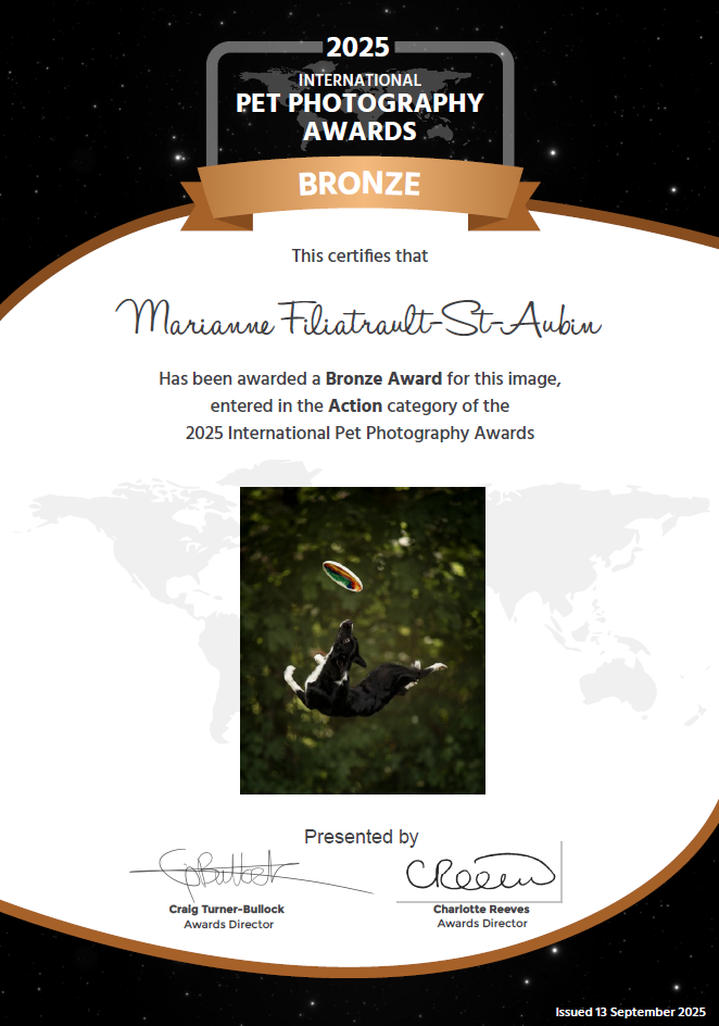 international-pet-photography-awards-prize
