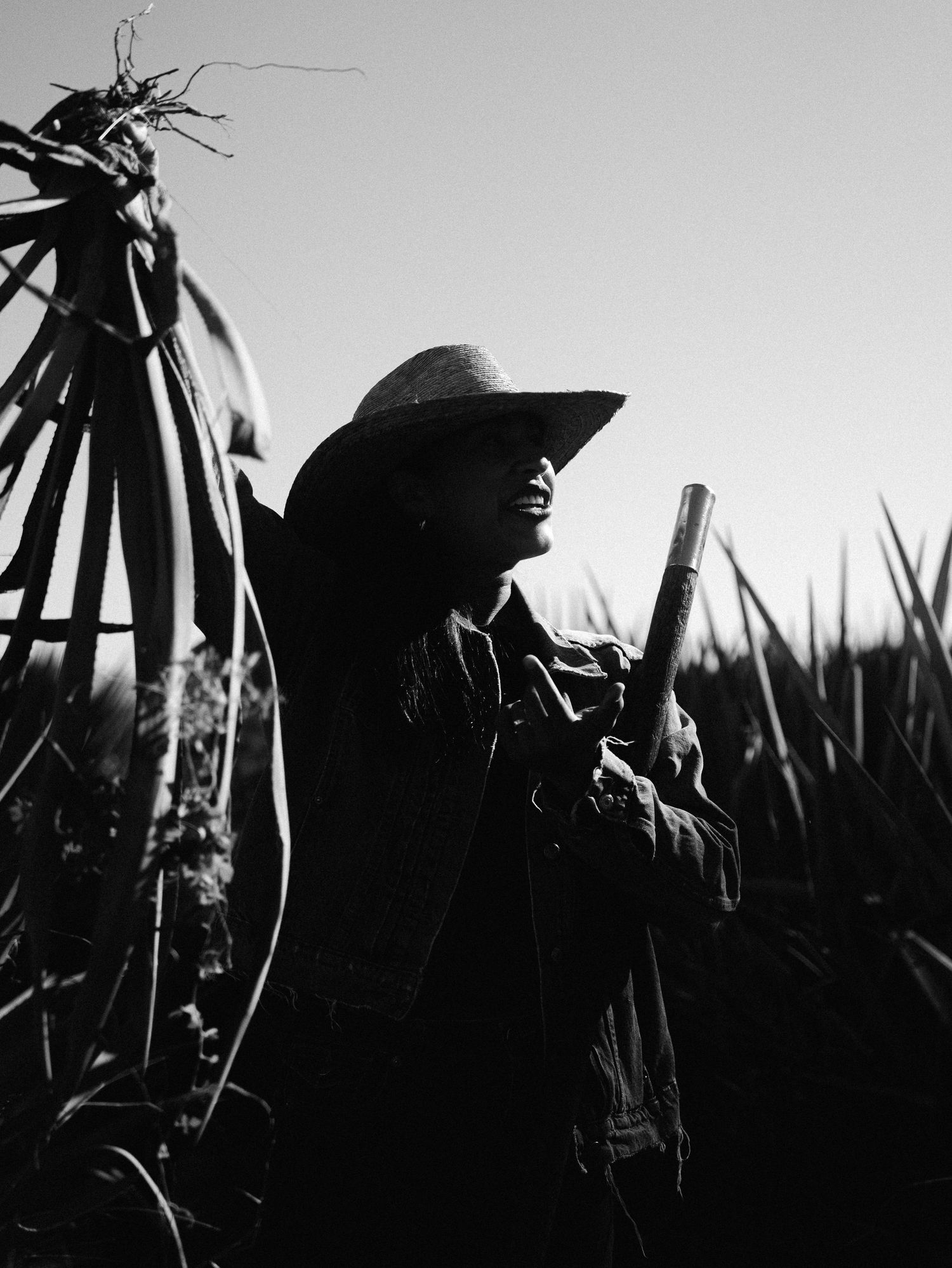 Dark silhouette of a person in a hat against a dramatic sky with tall plants or crops in the foreground.