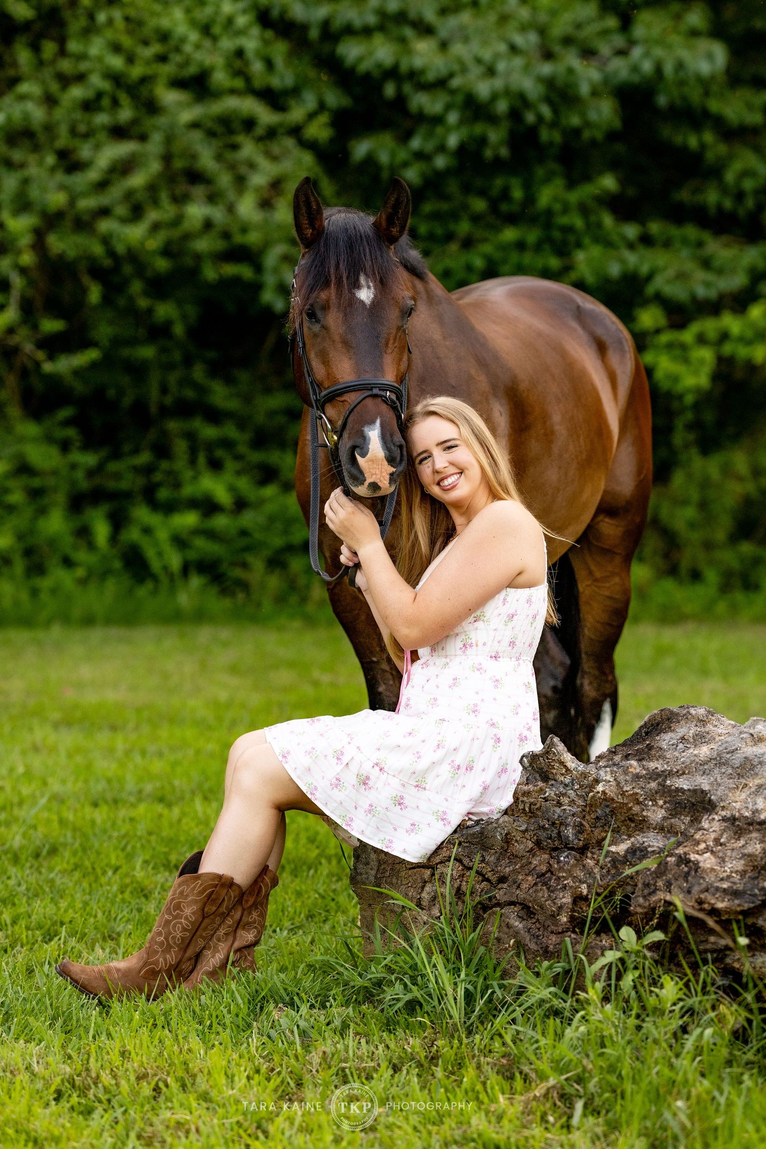 Horse & Rider