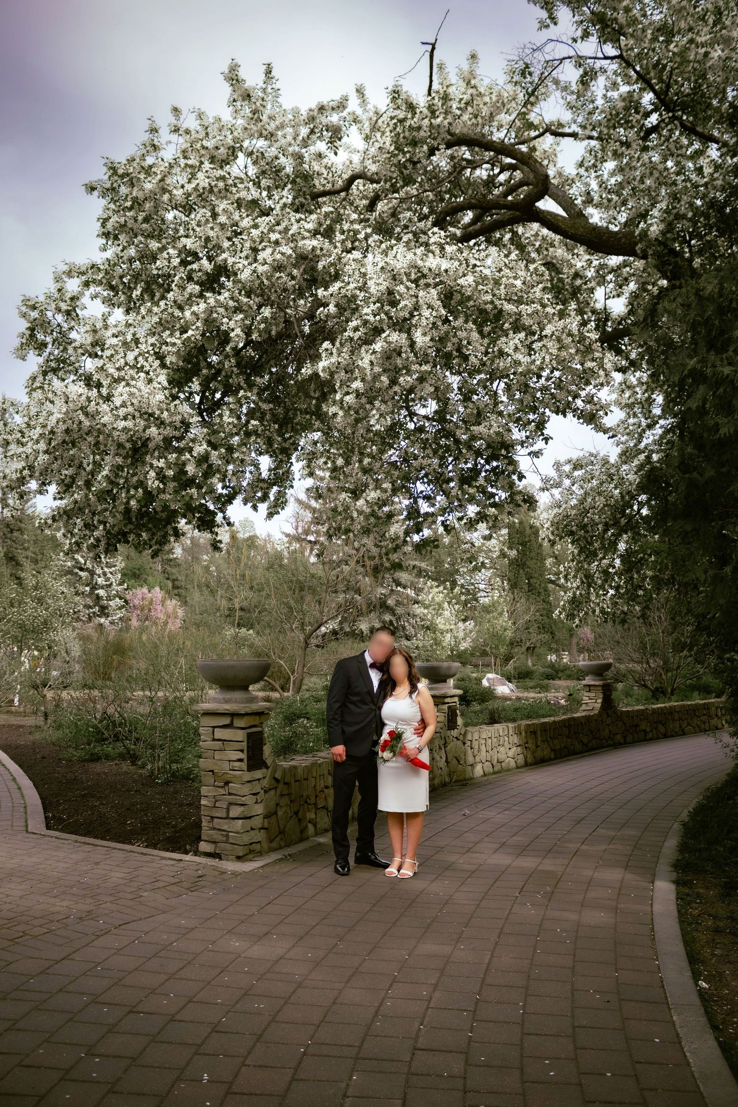 couple posing in a garden