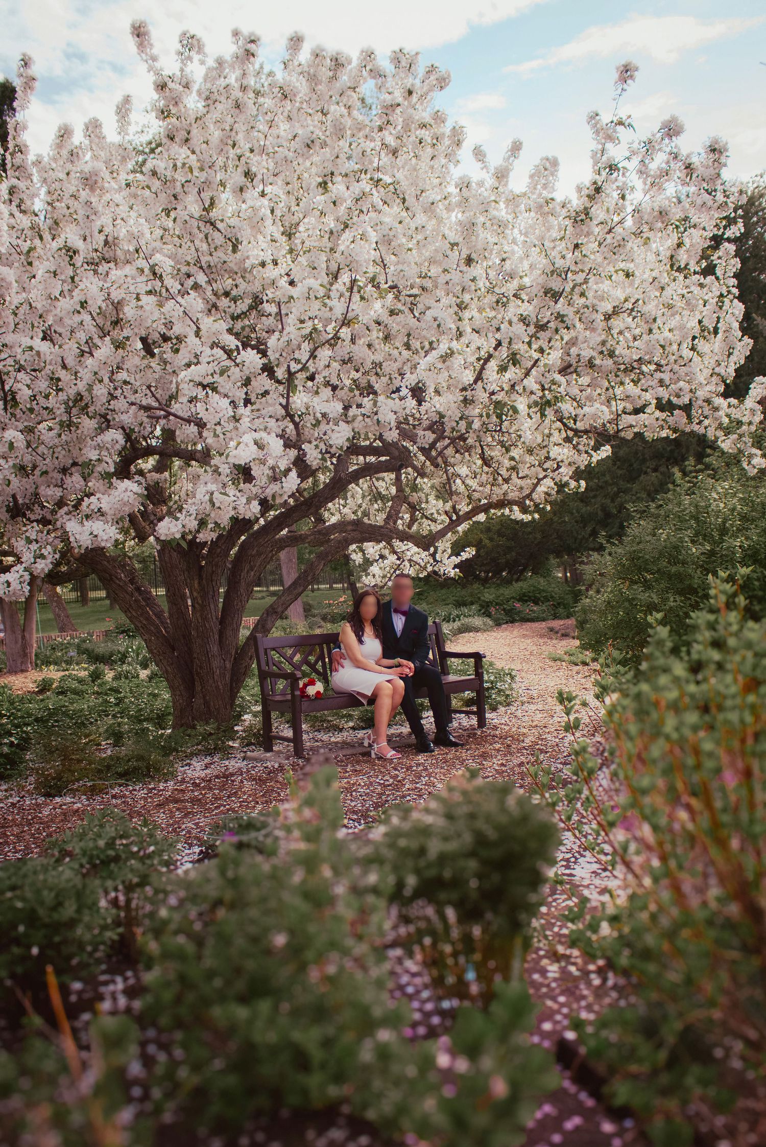 couple posing in a garden