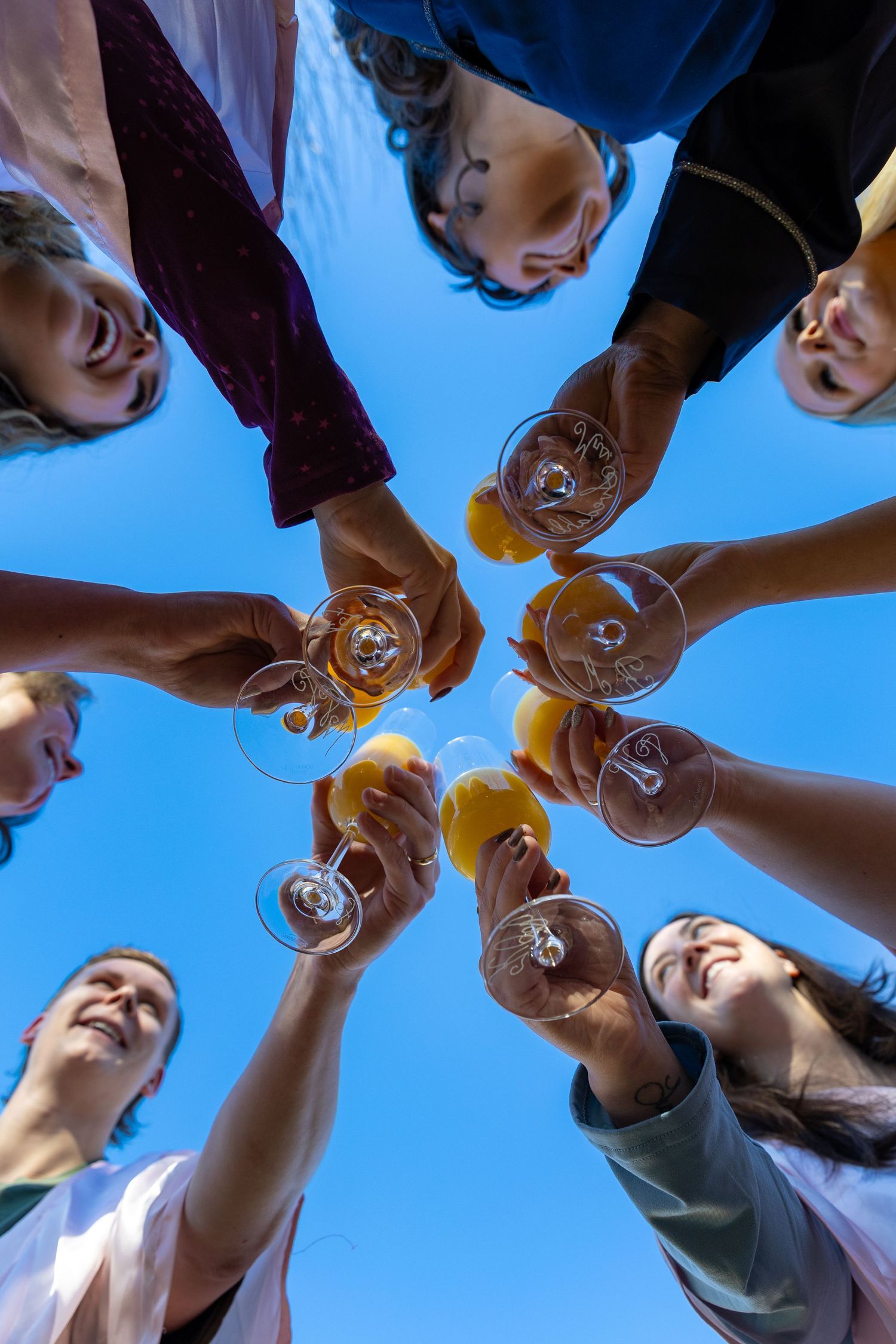 A group of smiling friends toasting with champagne glasses against a blue sky.