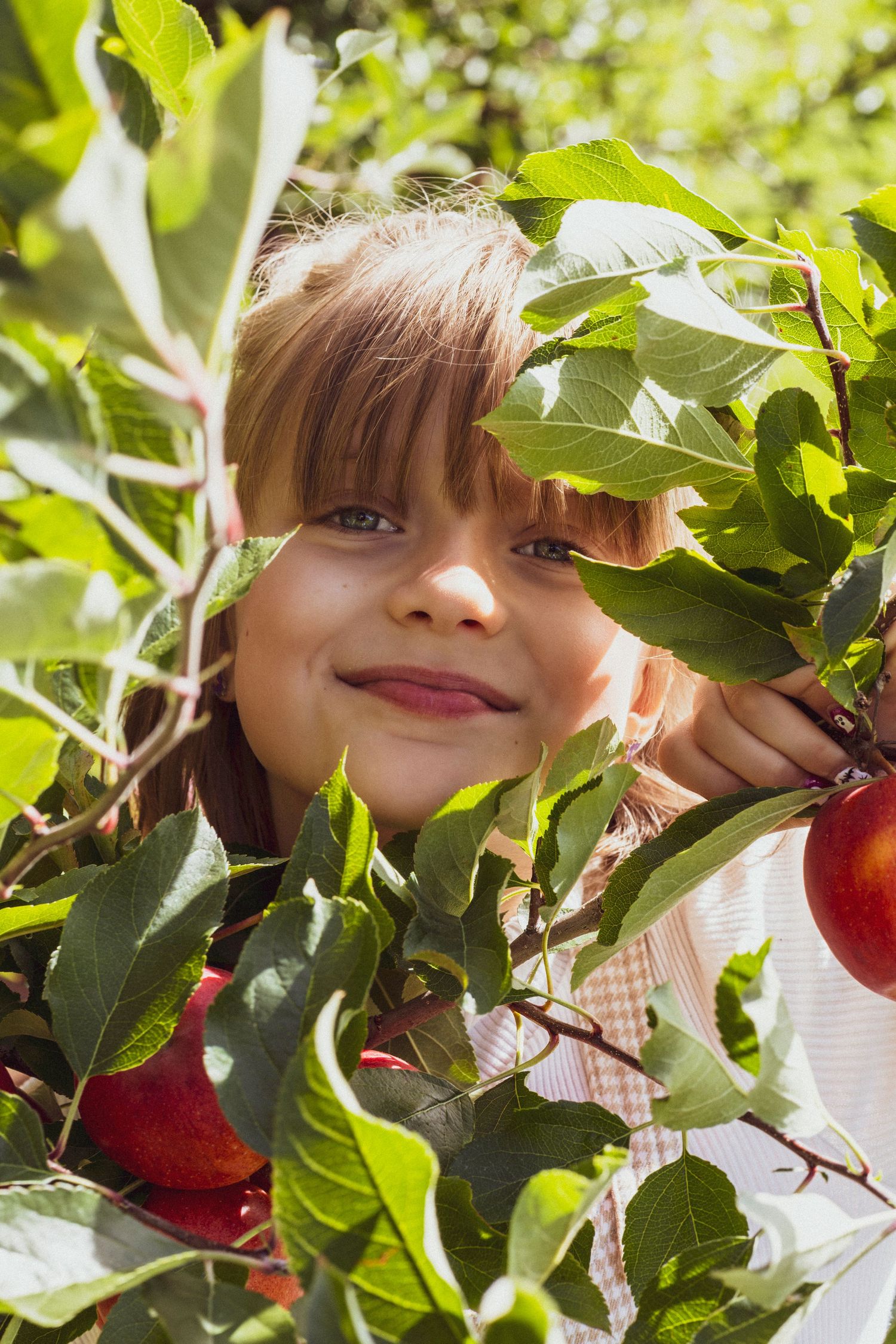 Young girl peaking through the apple tree