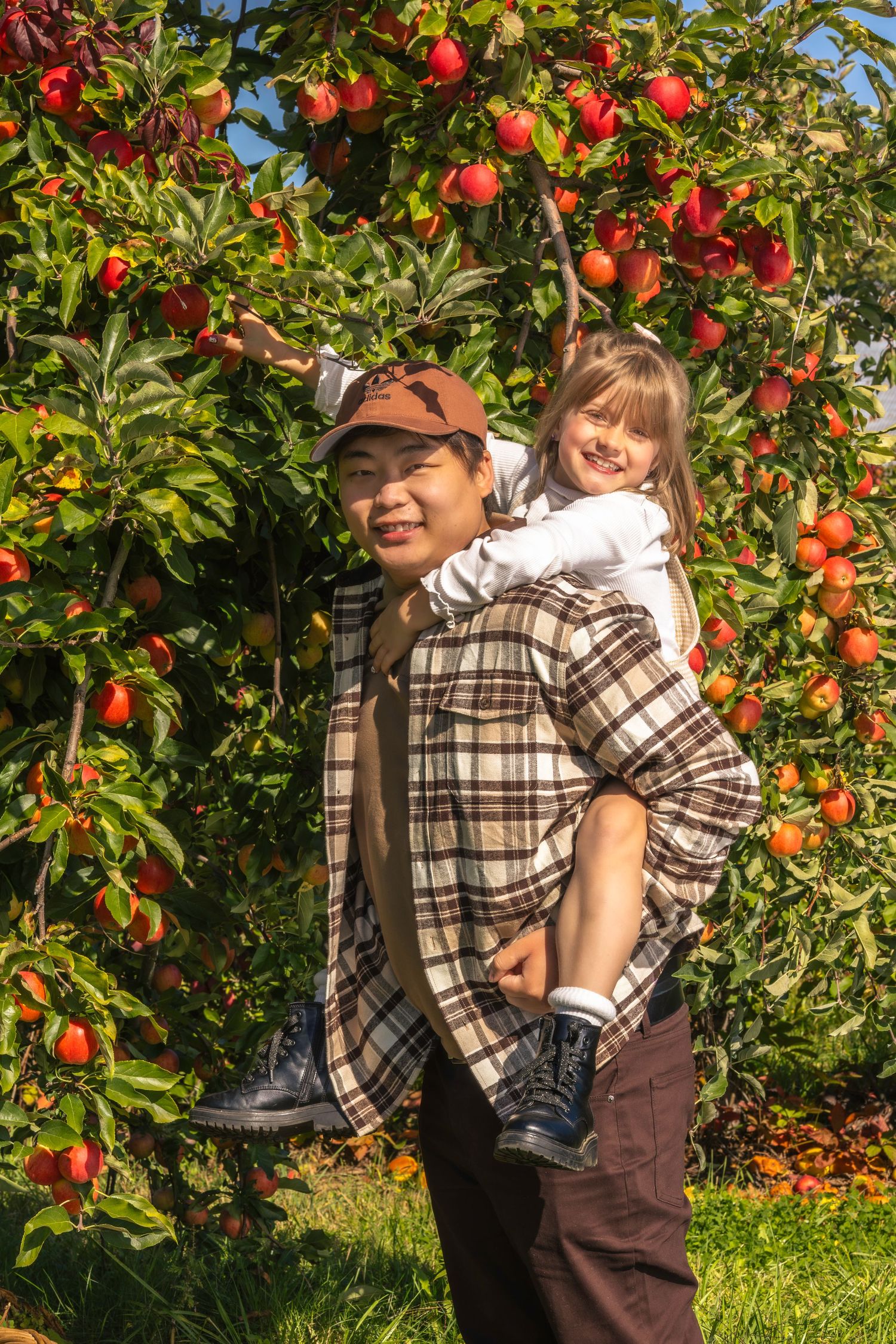Young girl on her step dads back picking an apple from a tree