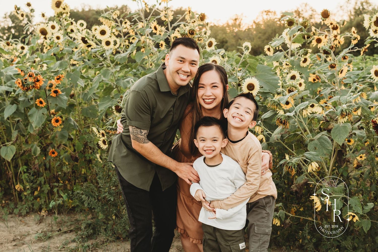 A joyful family of four poses together in a vibrant sunflower field at golden hour.