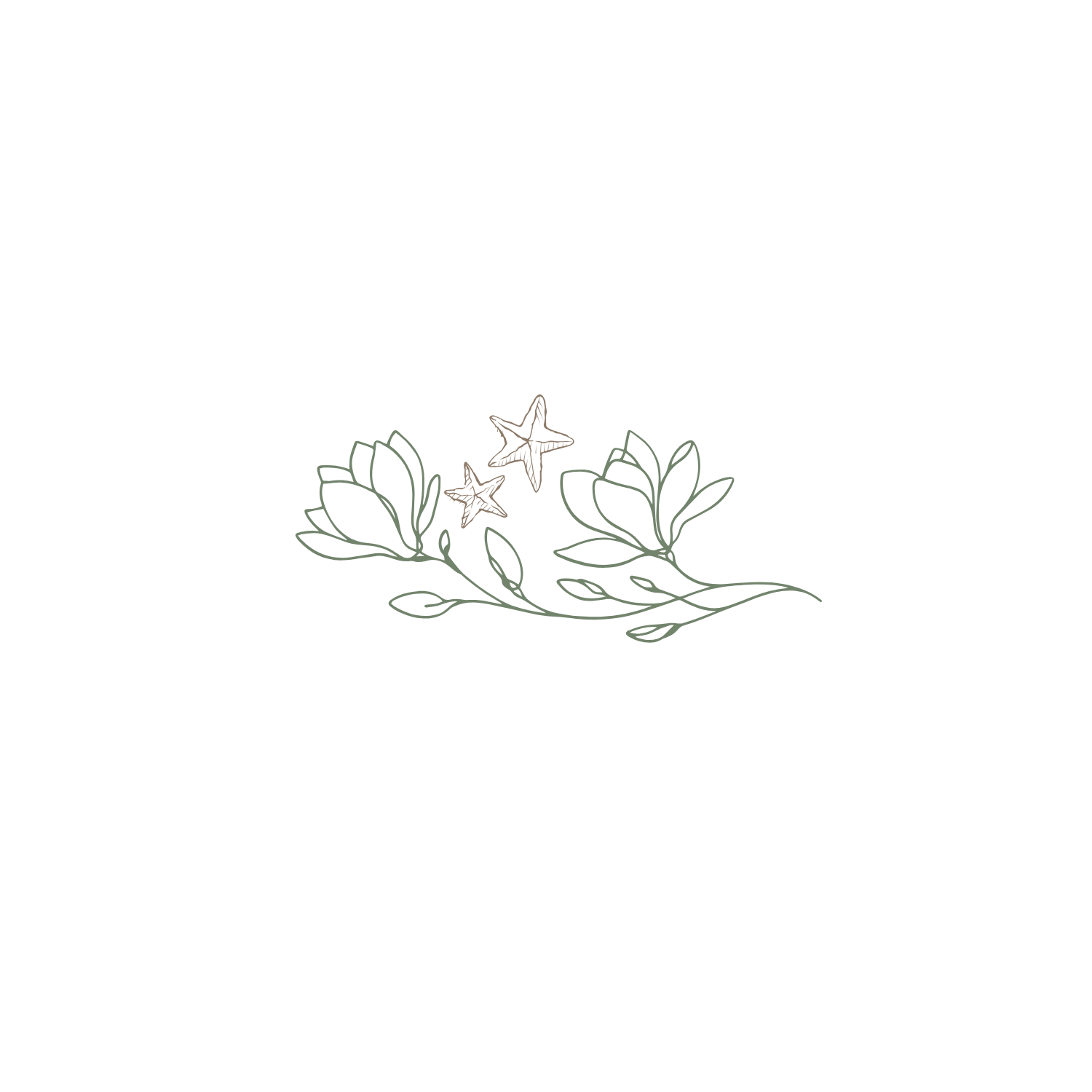 Elegant minimalist floral line art with leaves and star flowers on white.