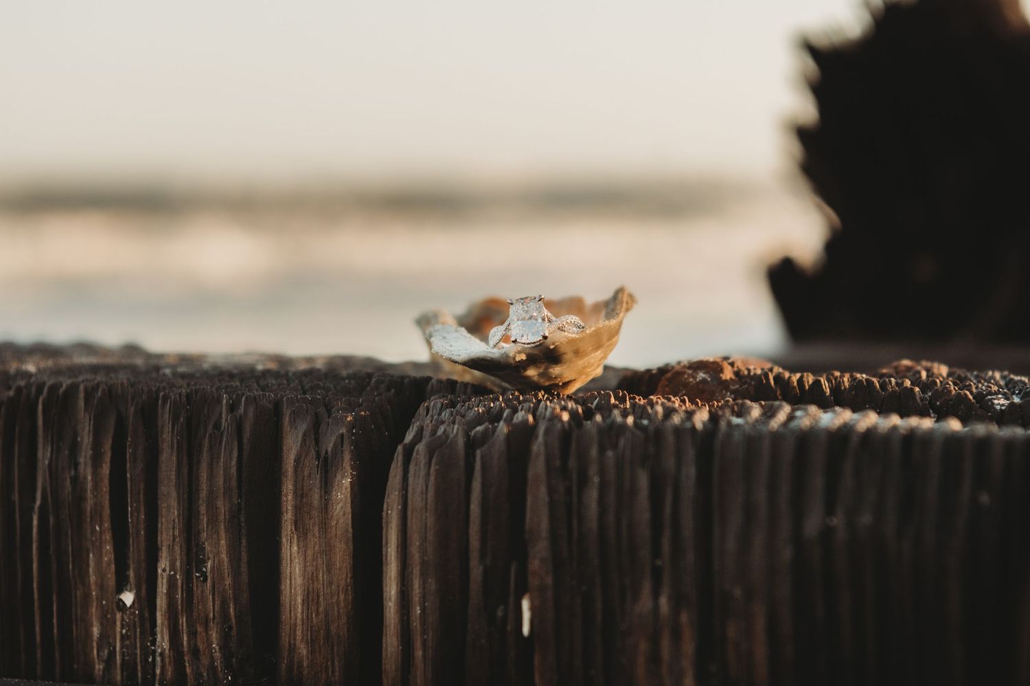 Close-up of diamond engagement ring placed on rustic wooden pier post near the beach.