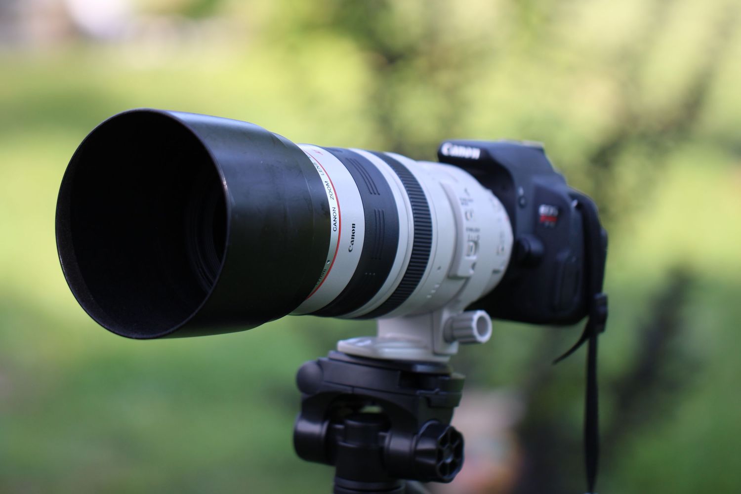 Canon camera with ef 100-400 lens.