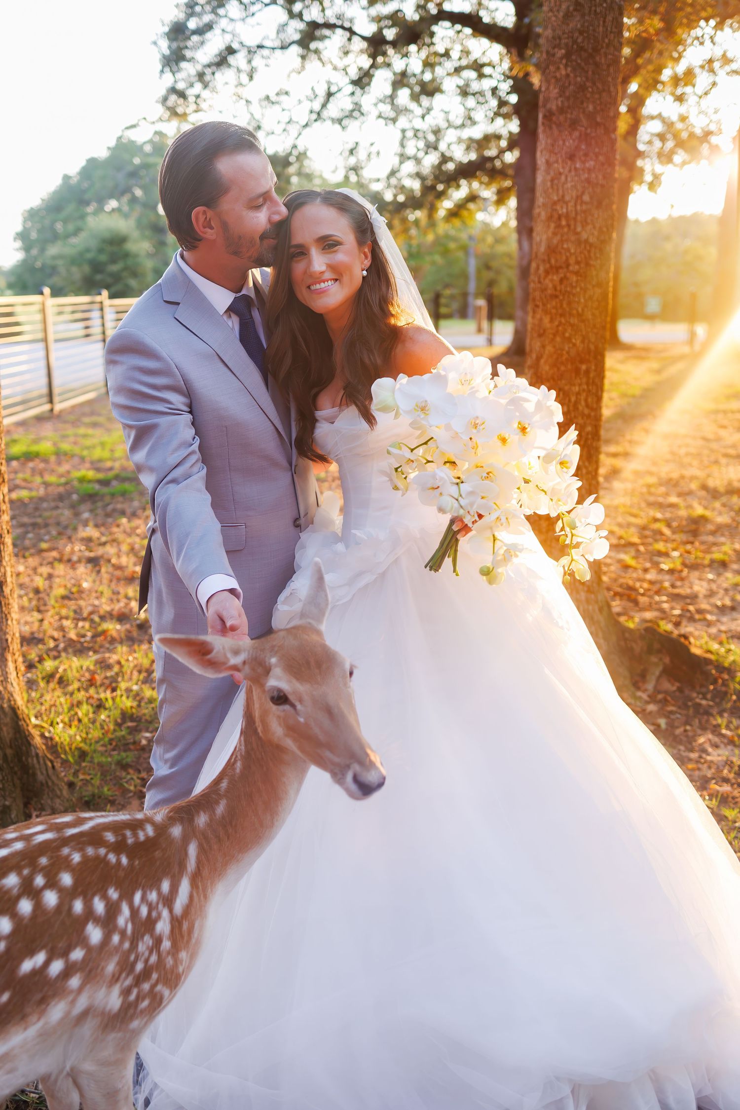 Golden sunset photo of newlyweds with a spotted deer curiously joining their portrait session.