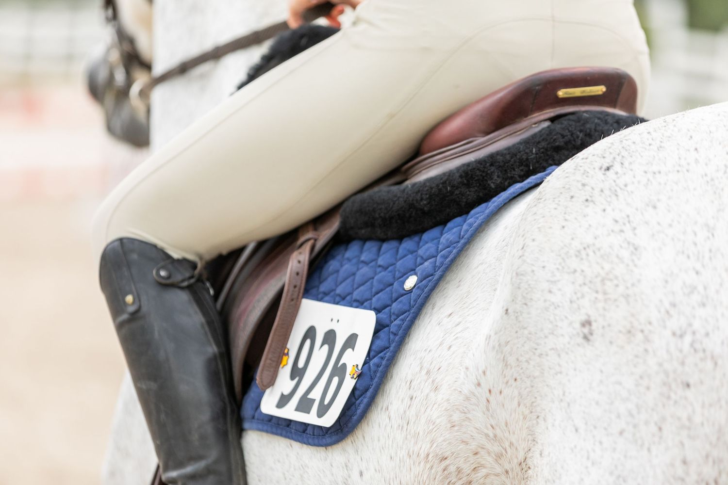 Close-up of English saddle with blue saddle pad showing competitor number.