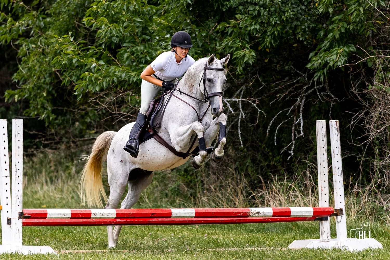 A rider on a white horse jumps over a red and white pole obstacle during an equestrian show jumping event.