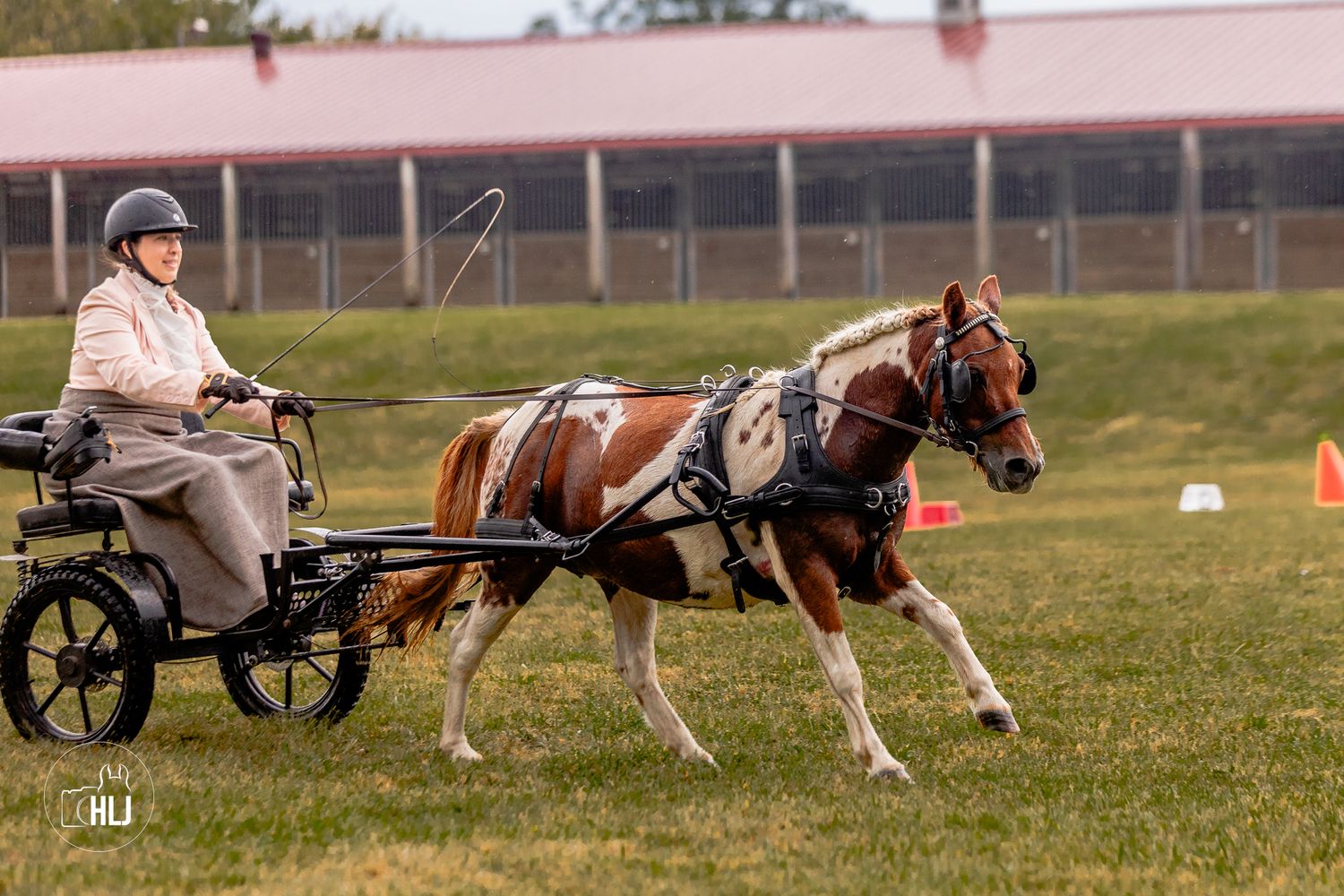 A paint horse pulling a wooden cart across a grassy field during a carriage driving competition.