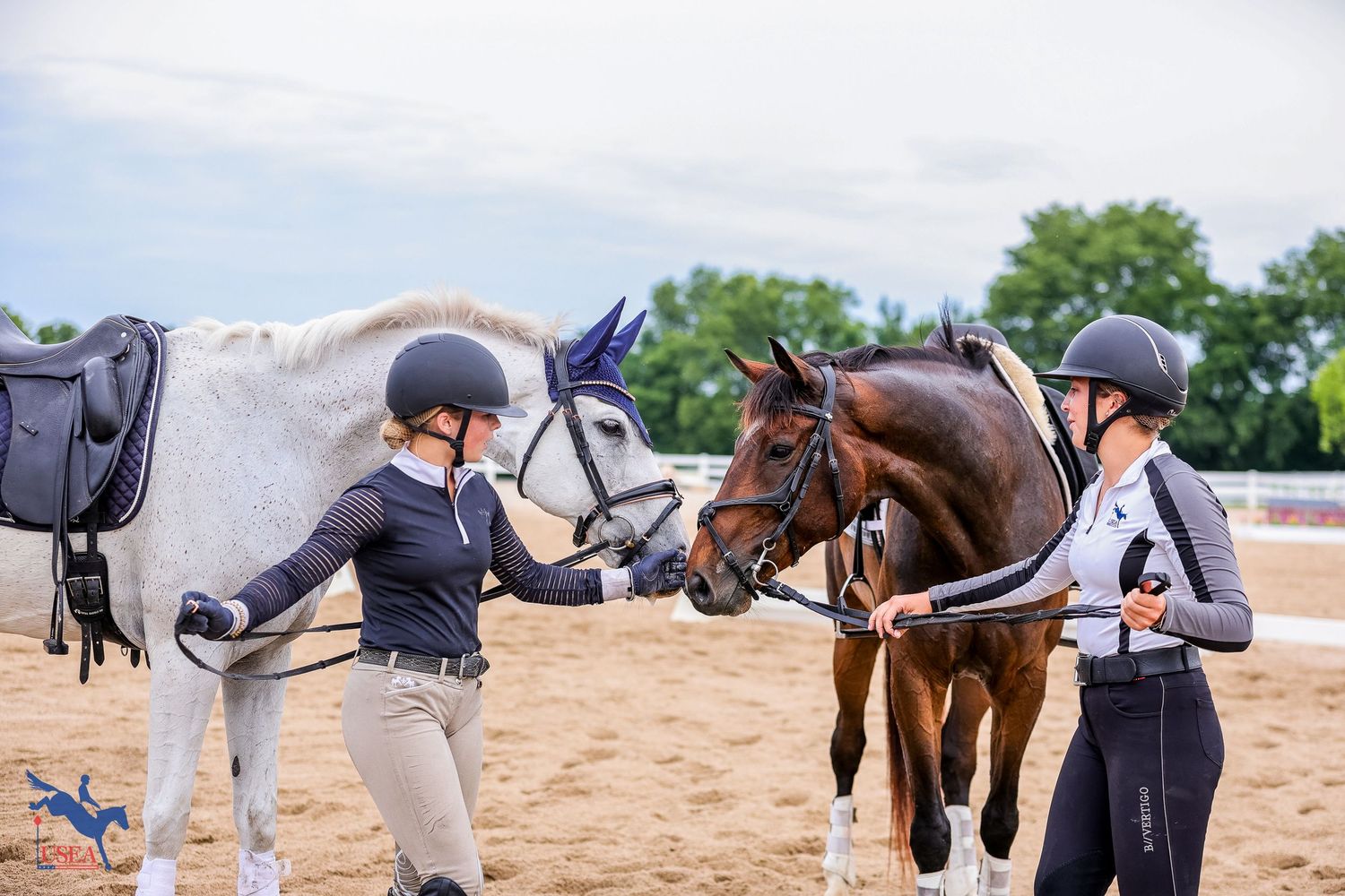 Rider tightening straps and adjusting equipment on brown horse during preparation for riding at outdoor arena.