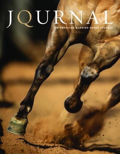 Close-up of a Quarter Horse's legs galloping through dirt, featured on the cover of The American Quarter Horse Journal.