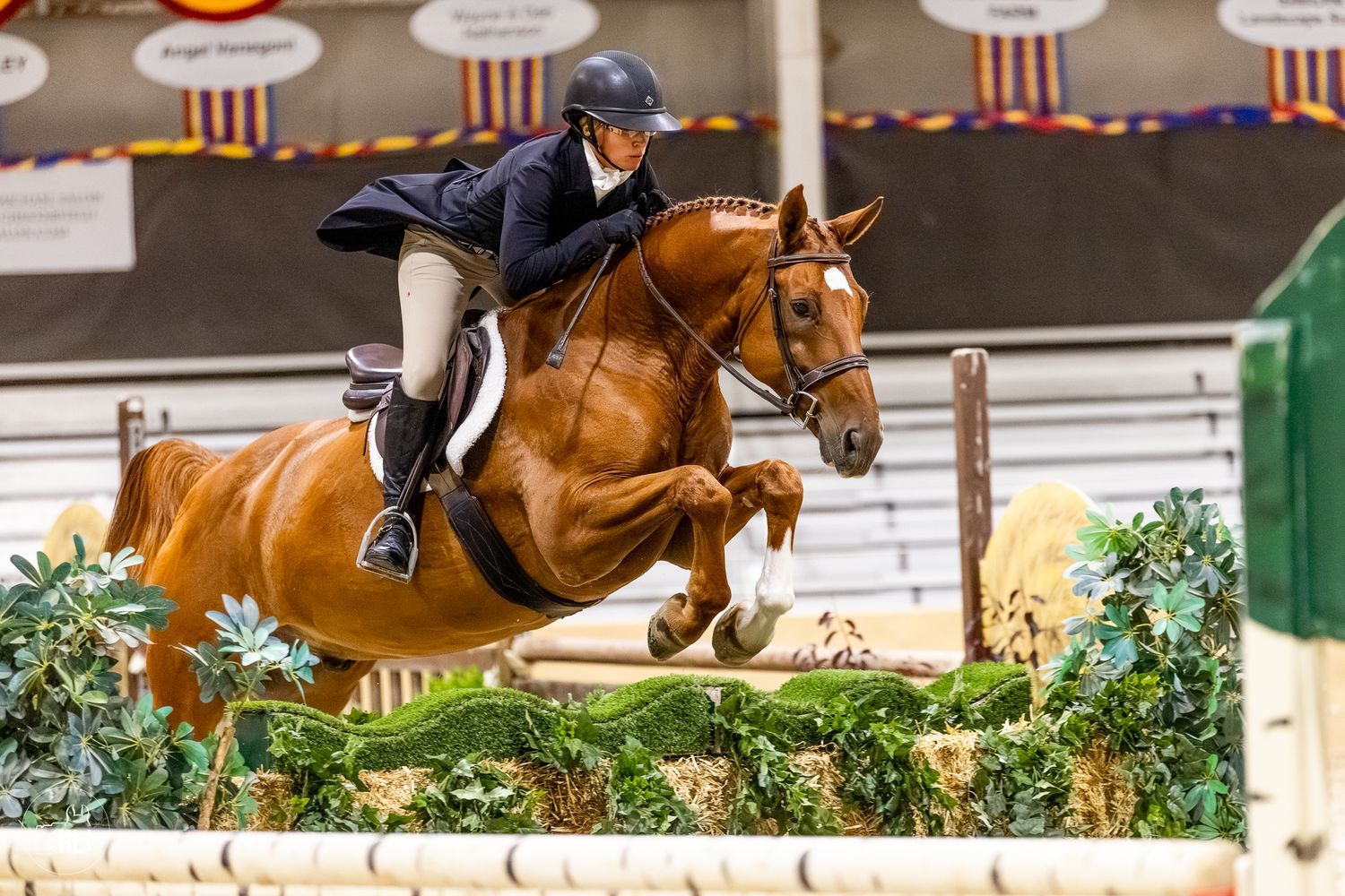 Equestrian rider on chestnut horse jumping over colorful fence obstacle in indoor show jumping competition.