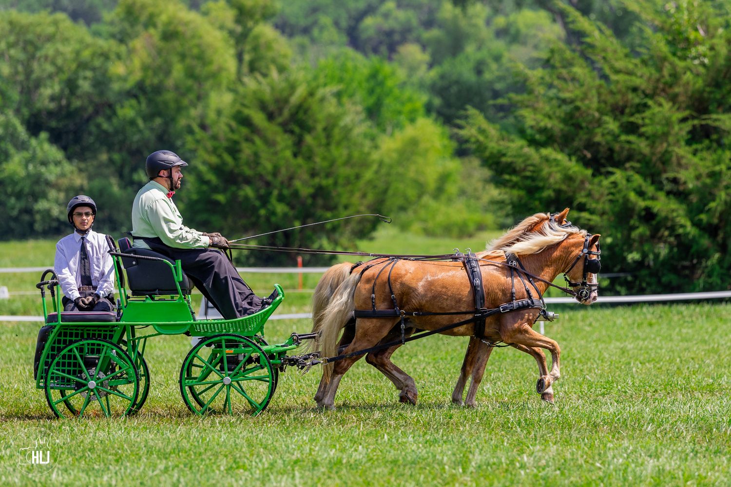 Horse-drawn carriage riding across a green lawn at a summer gathering in bright daylight.