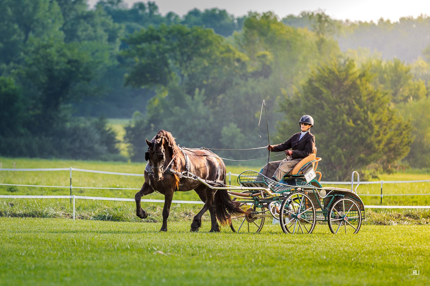 A rider in a helmet drives a dark brown horse pulling a light carriage across a lush green field at sunset.