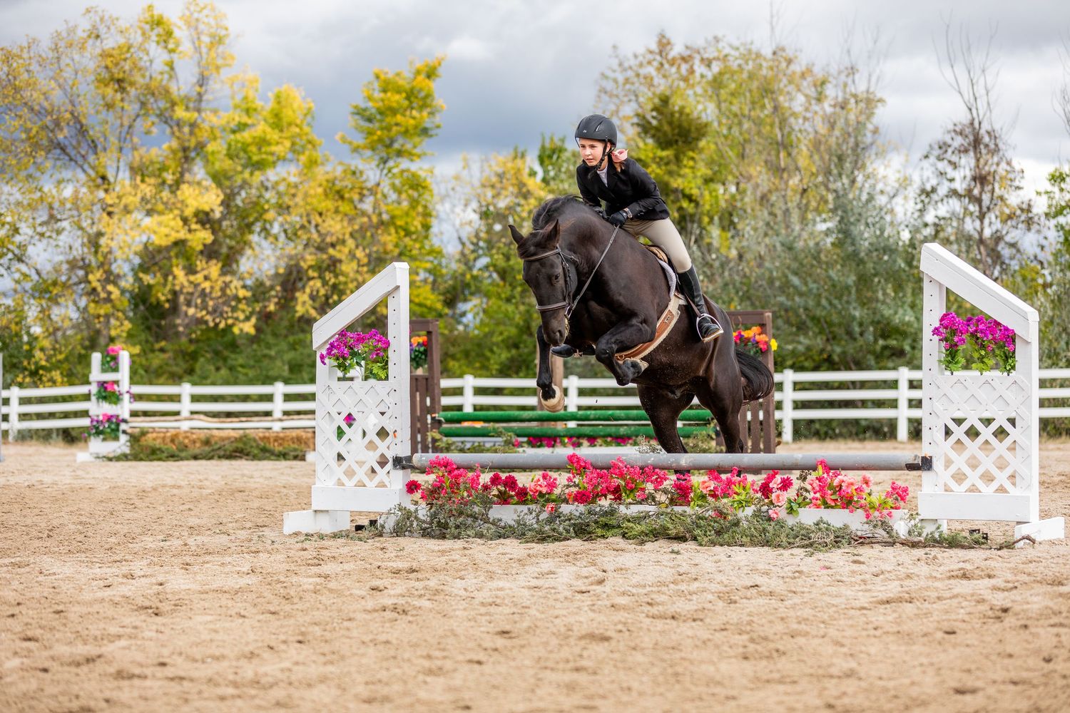 Horse and rider clearing a show jumping fence with colorful poles in a competition arena.