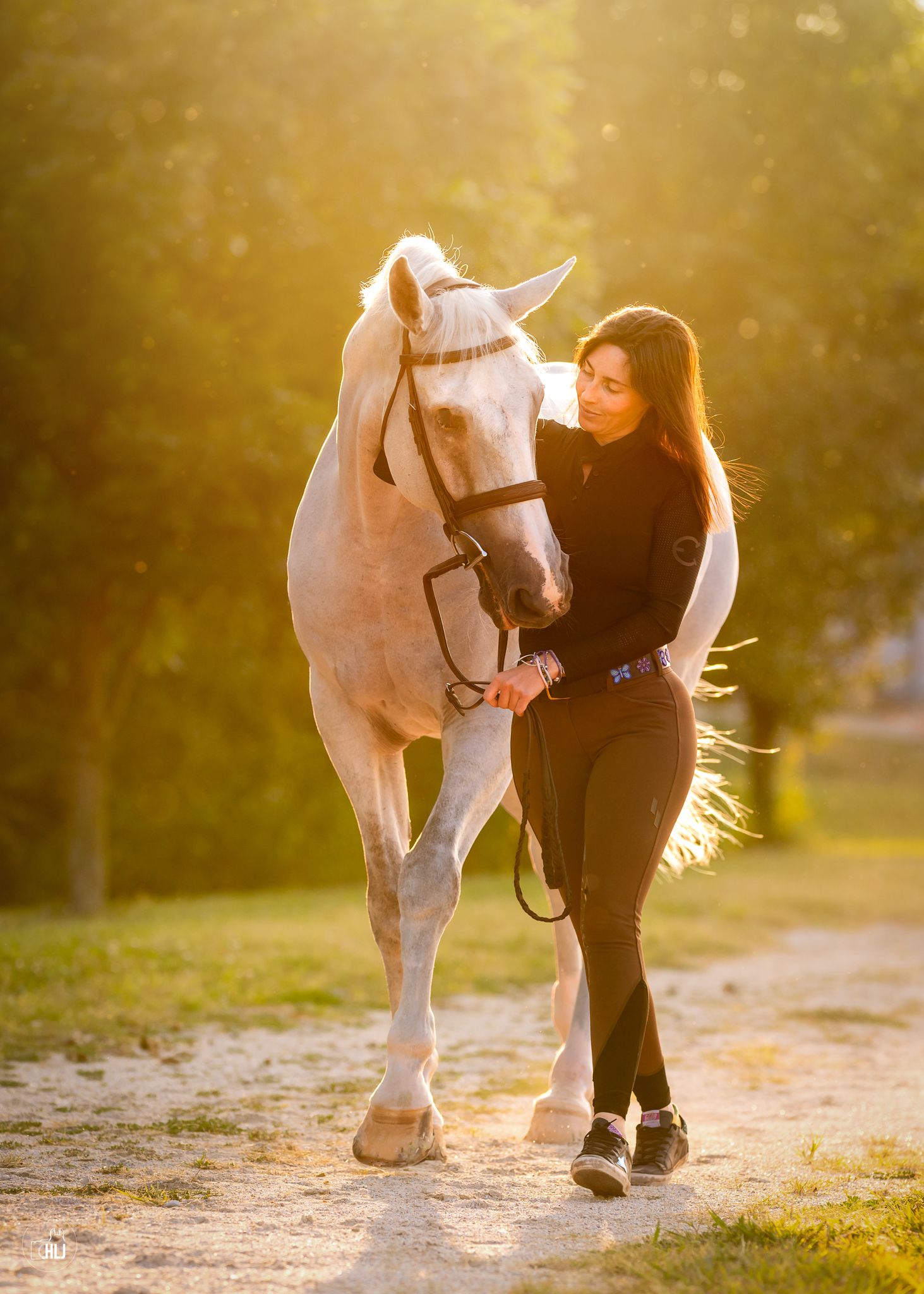 A person in black clothing bends down to inspect a white horse's leg during golden hour sunset lighting.