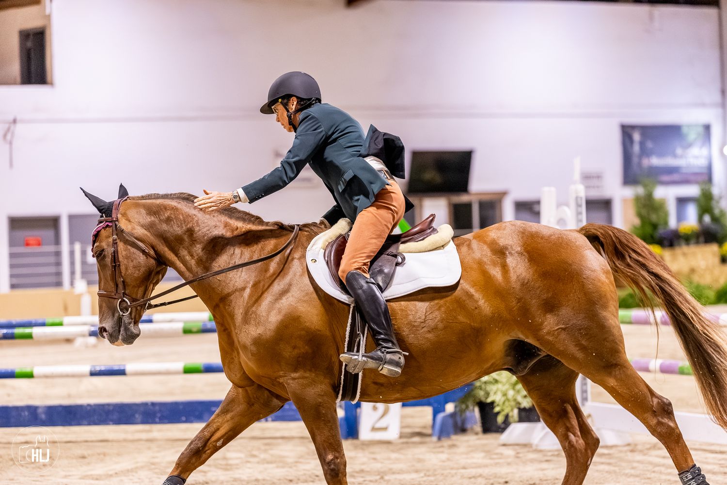Equestrian rider in black helmet on chestnut horse competing in indoor show jumping arena.