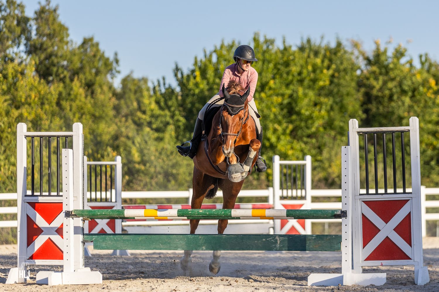 Equestrian clearing a white and red jump with a course setup outdoors in a sunny arena.