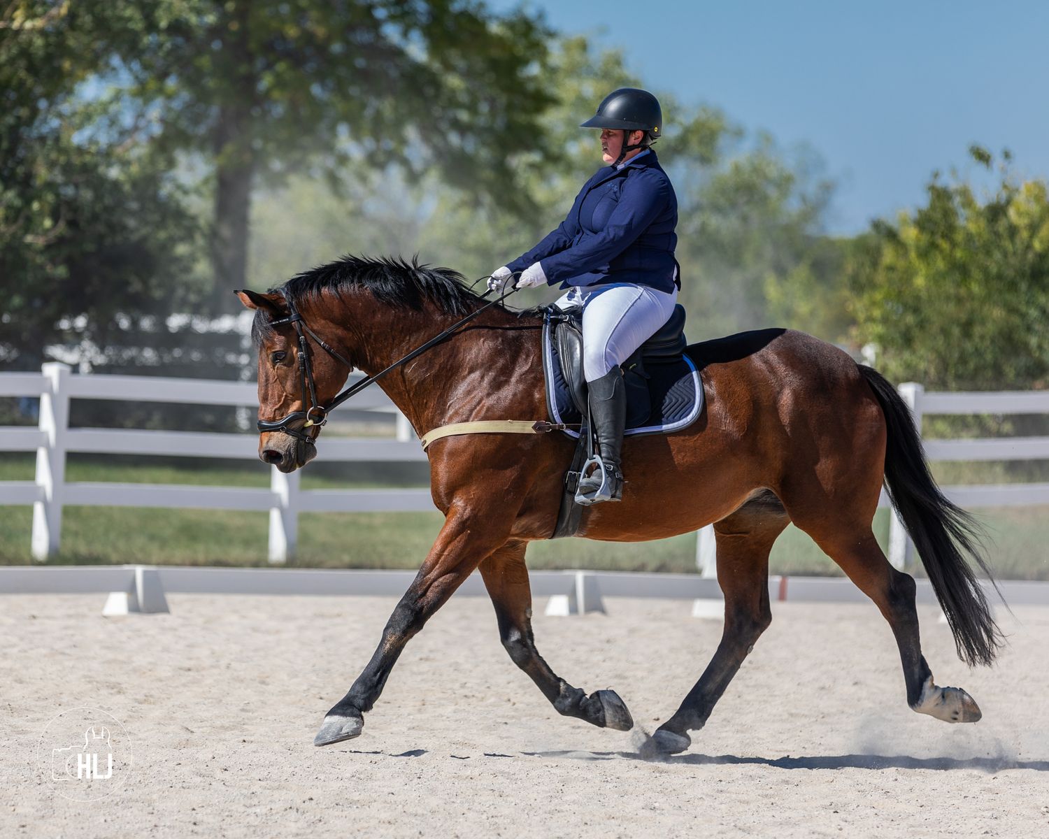 A bay horse and rider perform dressage movements in an outdoor arena.