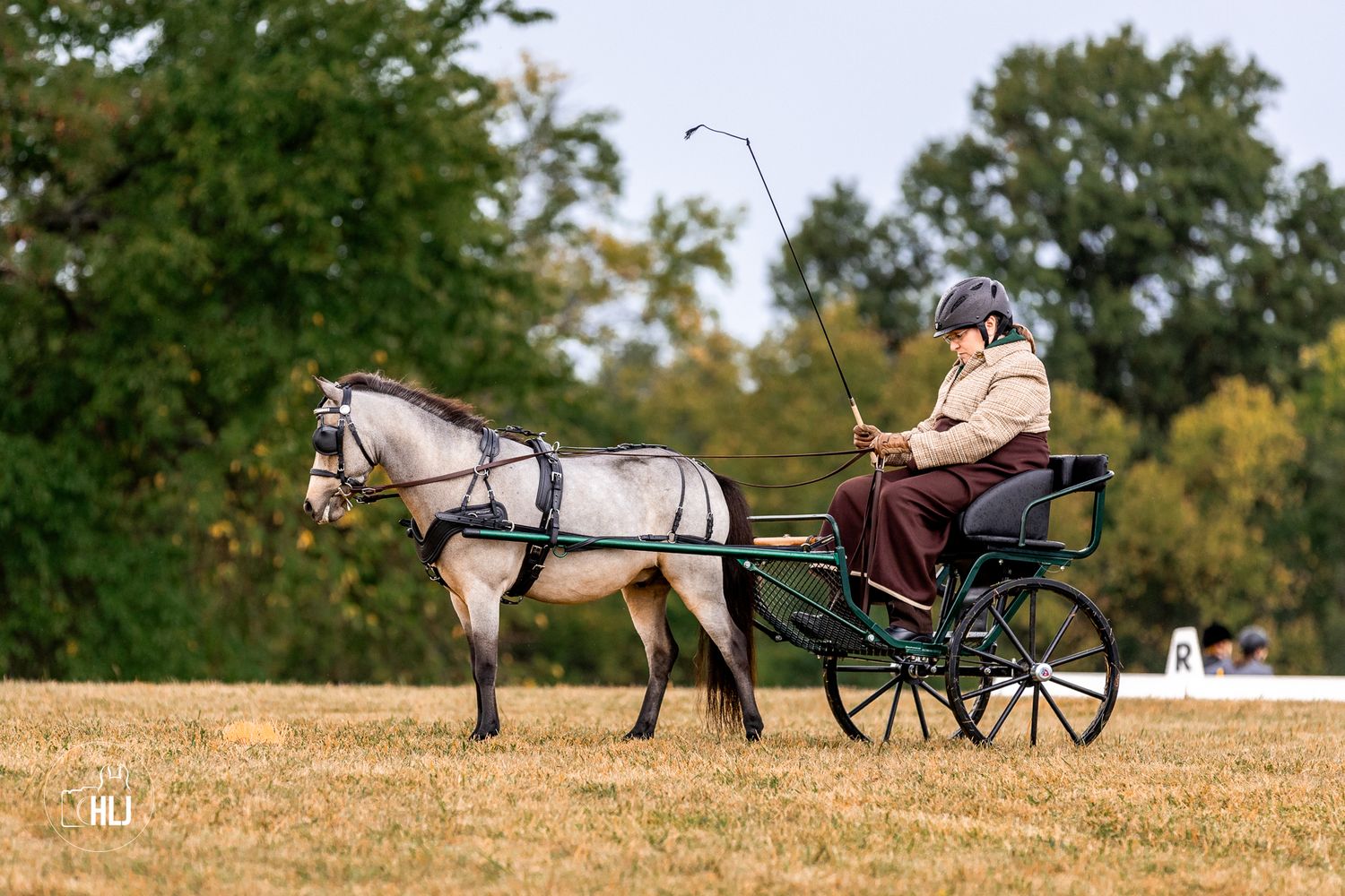 A horse-drawn carriage rides along a golden field during autumn with green trees in the background.