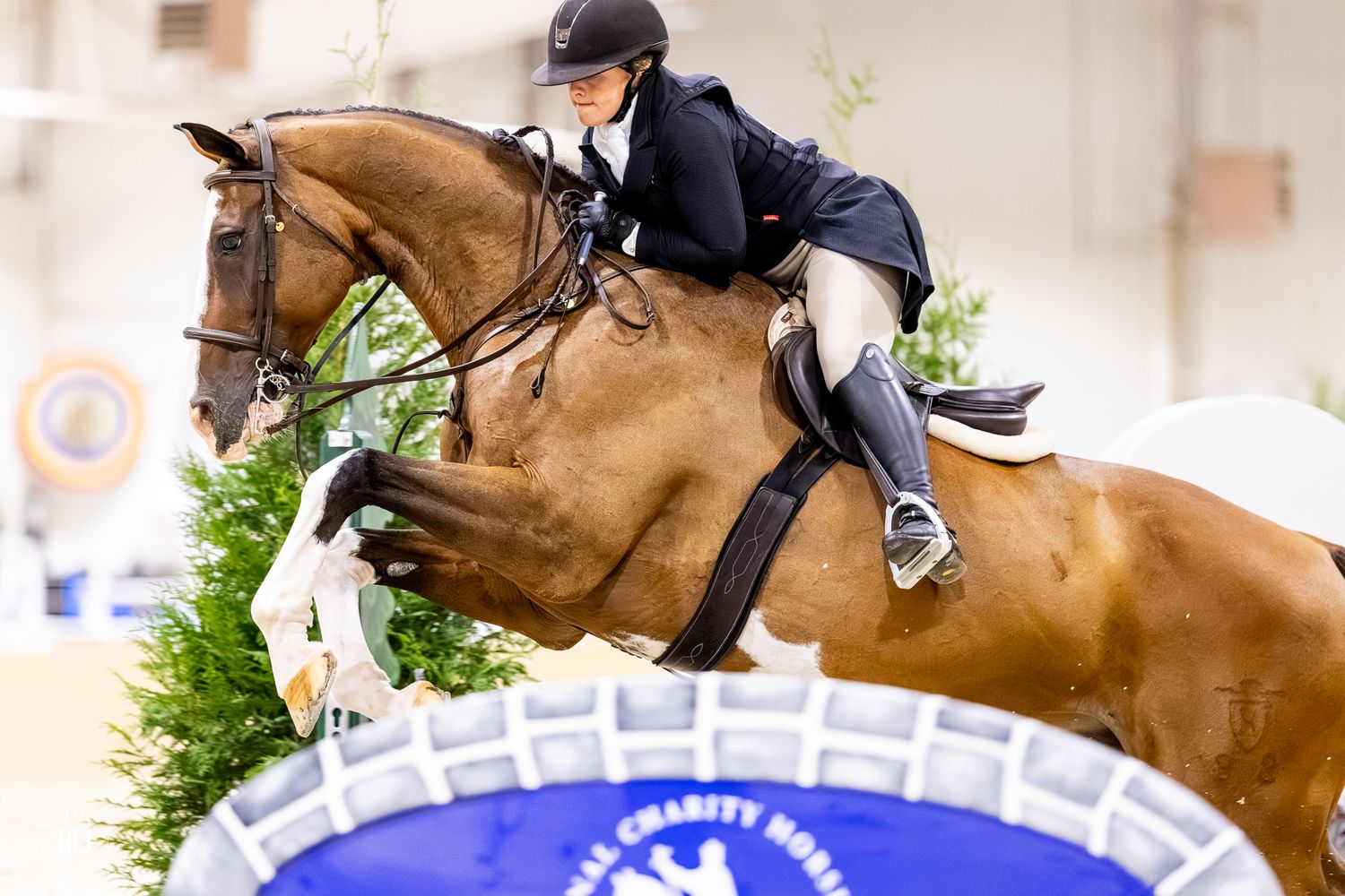 Equestrian rider on chestnut horse jumping over obstacle at indoor charity horse show competition.