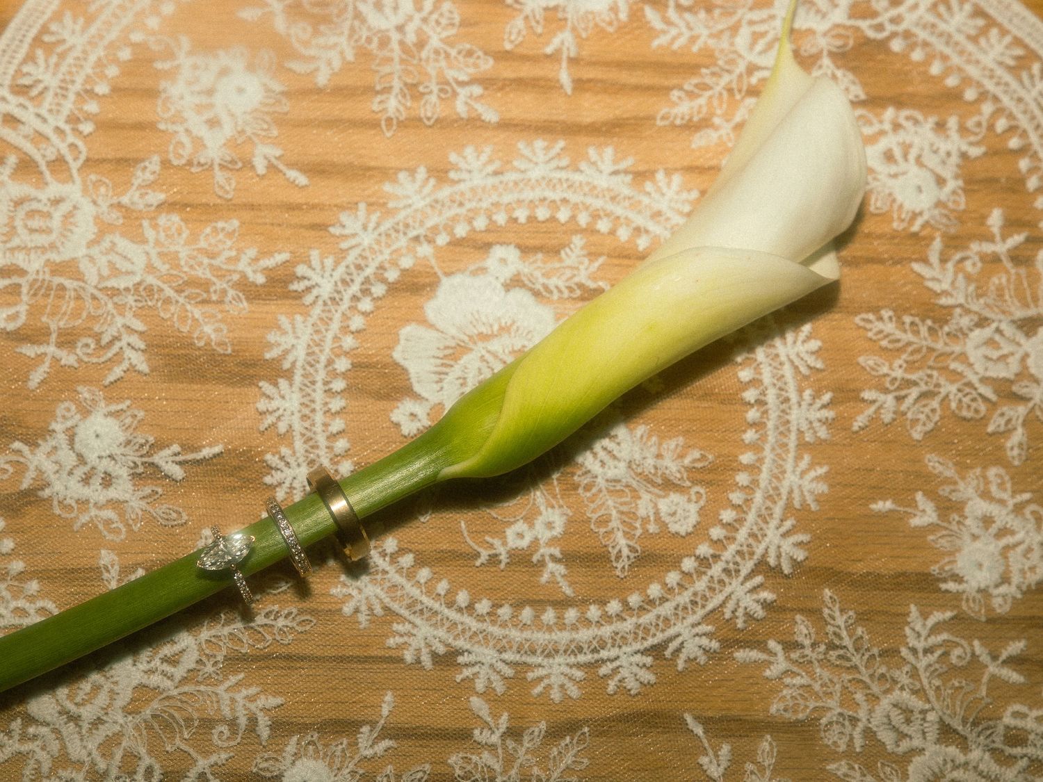 A single white calla lily flower stem against a delicate lace patterned background.