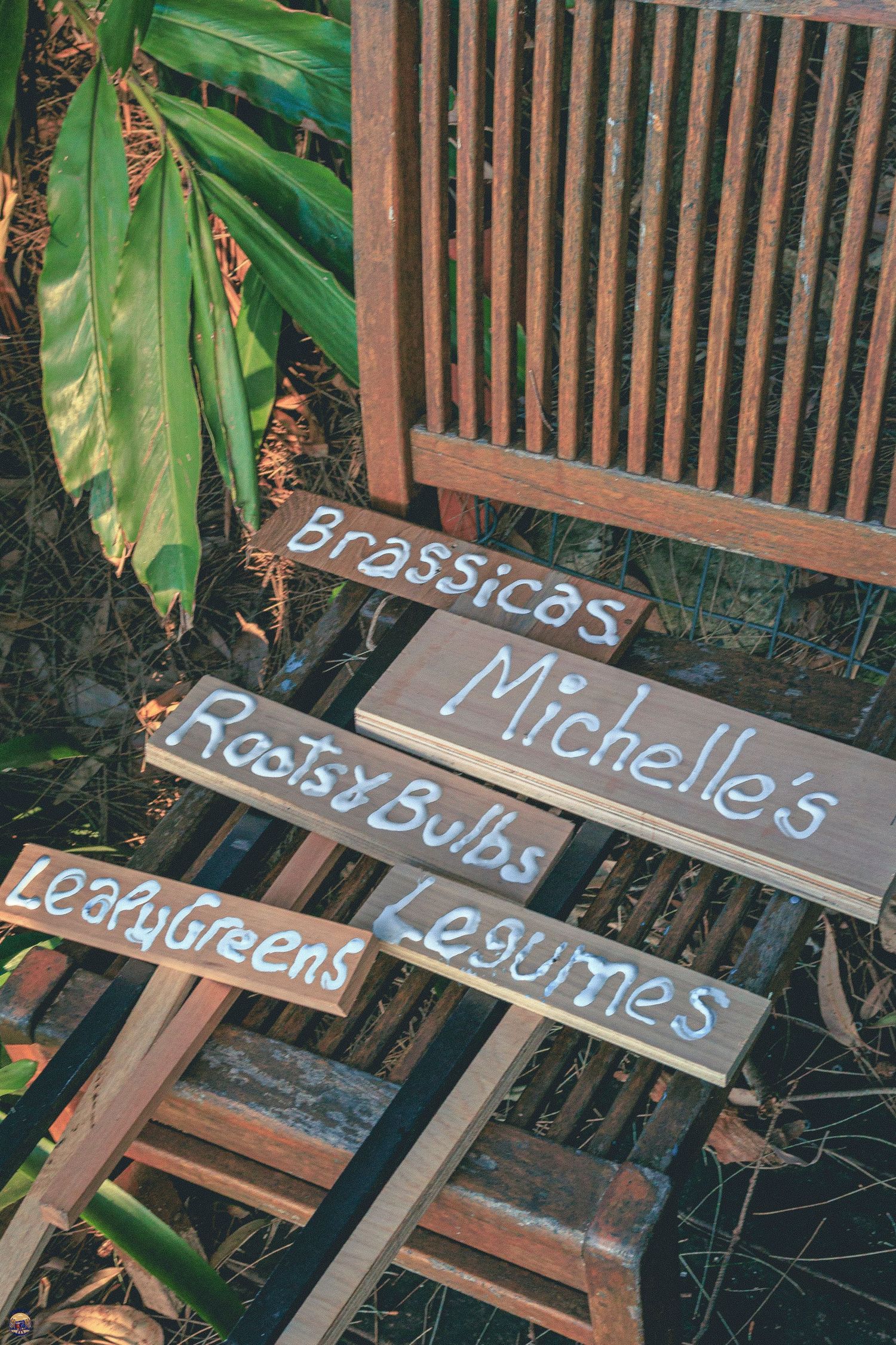 Close-up of handwritten wooden garden markers with plant names, arranged on a timber path next to green foliage.