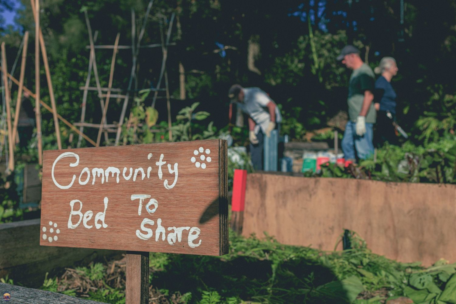 Wooden sign reading ‘Community Bed to Share’ in front of gardeners working in a lush shared vegetable bed.
