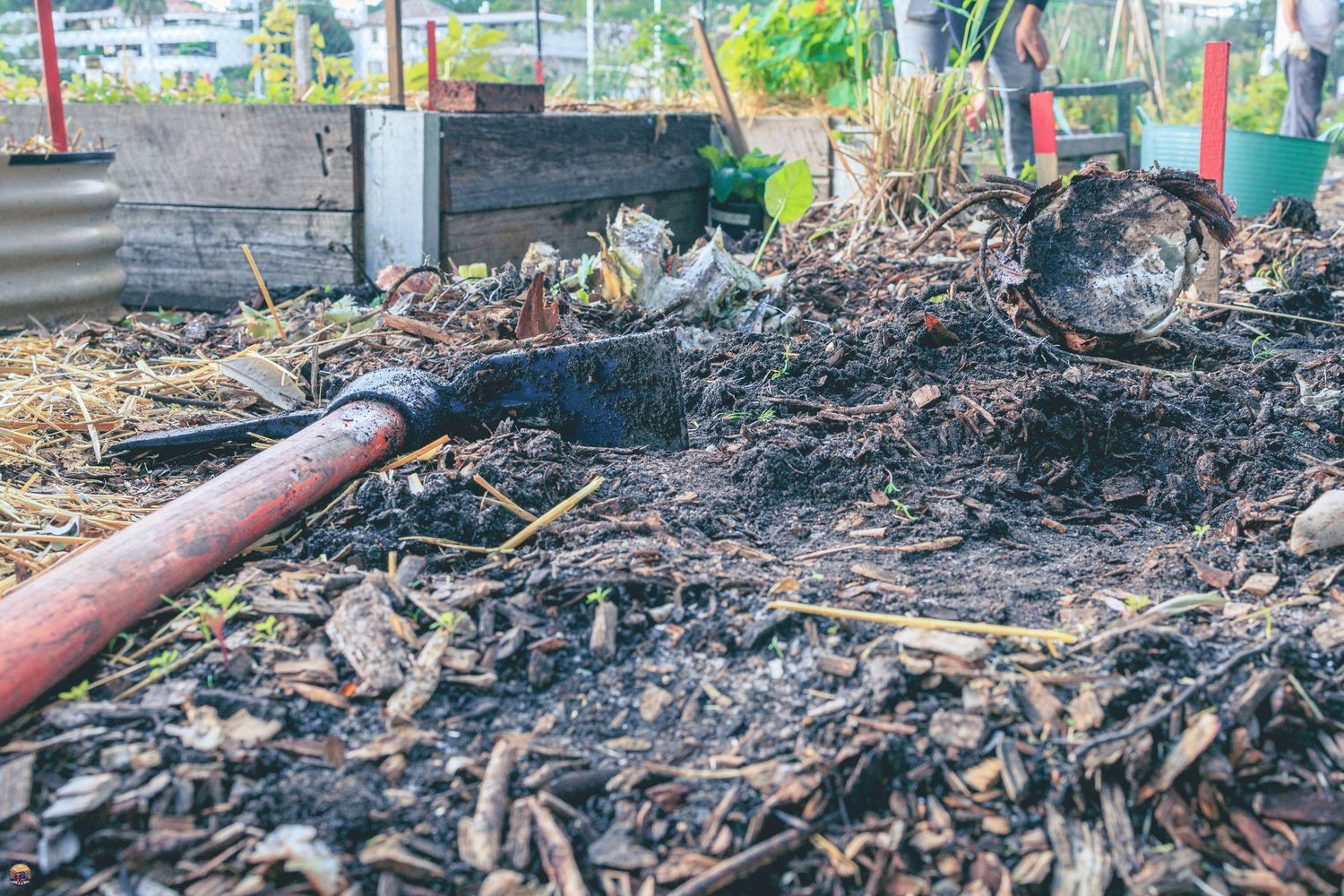 Close-up of a large compost pile in a community garden, with a red-handled rake resting on decomposing mulch and plant matter.