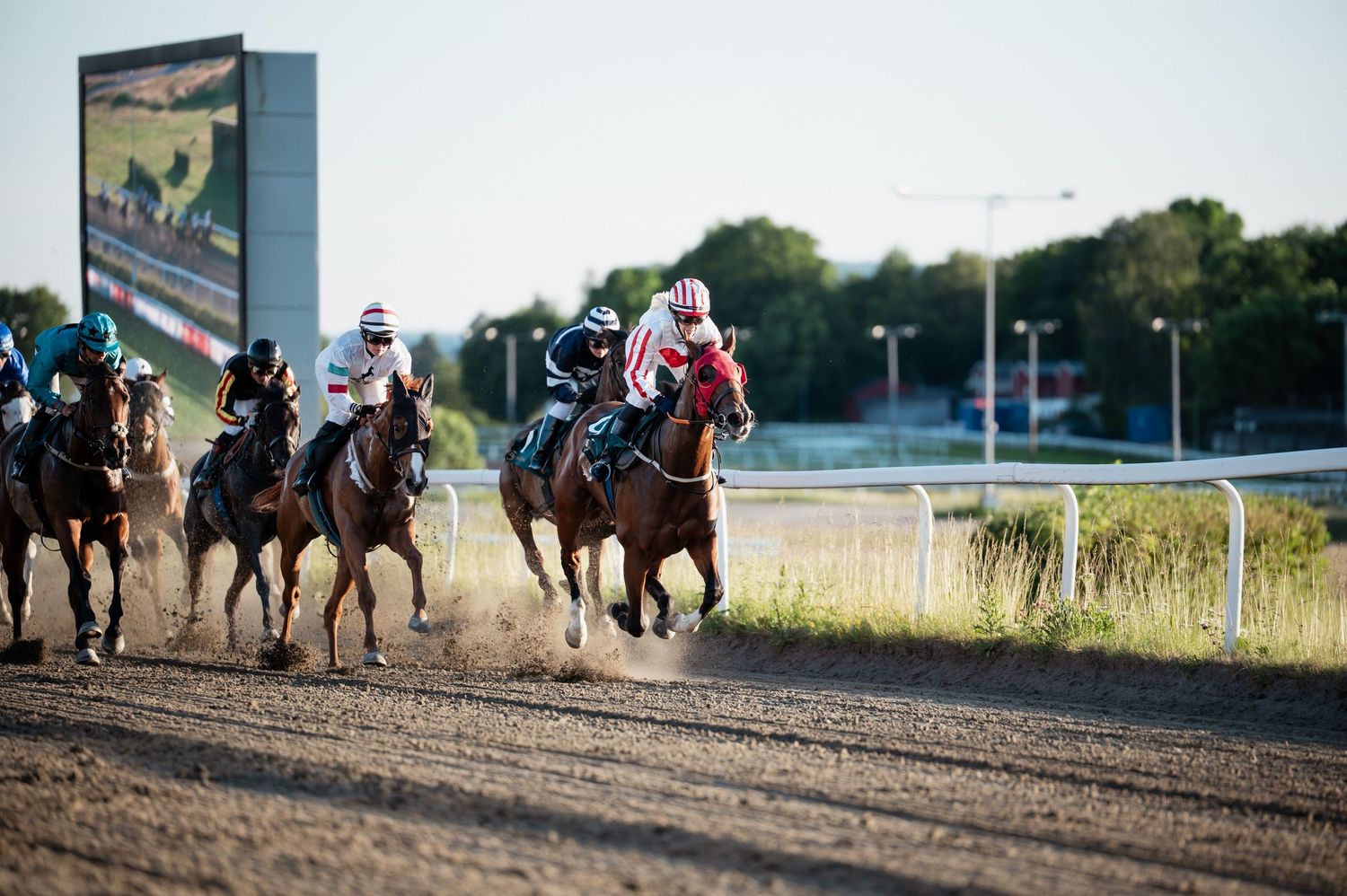 Jockeys racing thoroughbred horses on dirt track during competitive horse race at sunset.