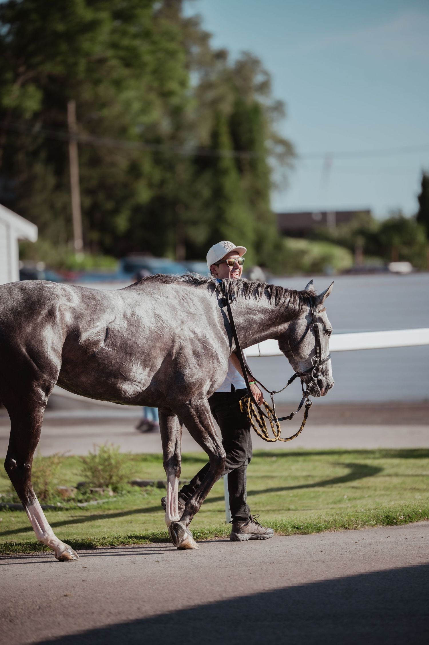 A handler in a white cap leads a dark grey thoroughbred horse at an outdoor racing venue.