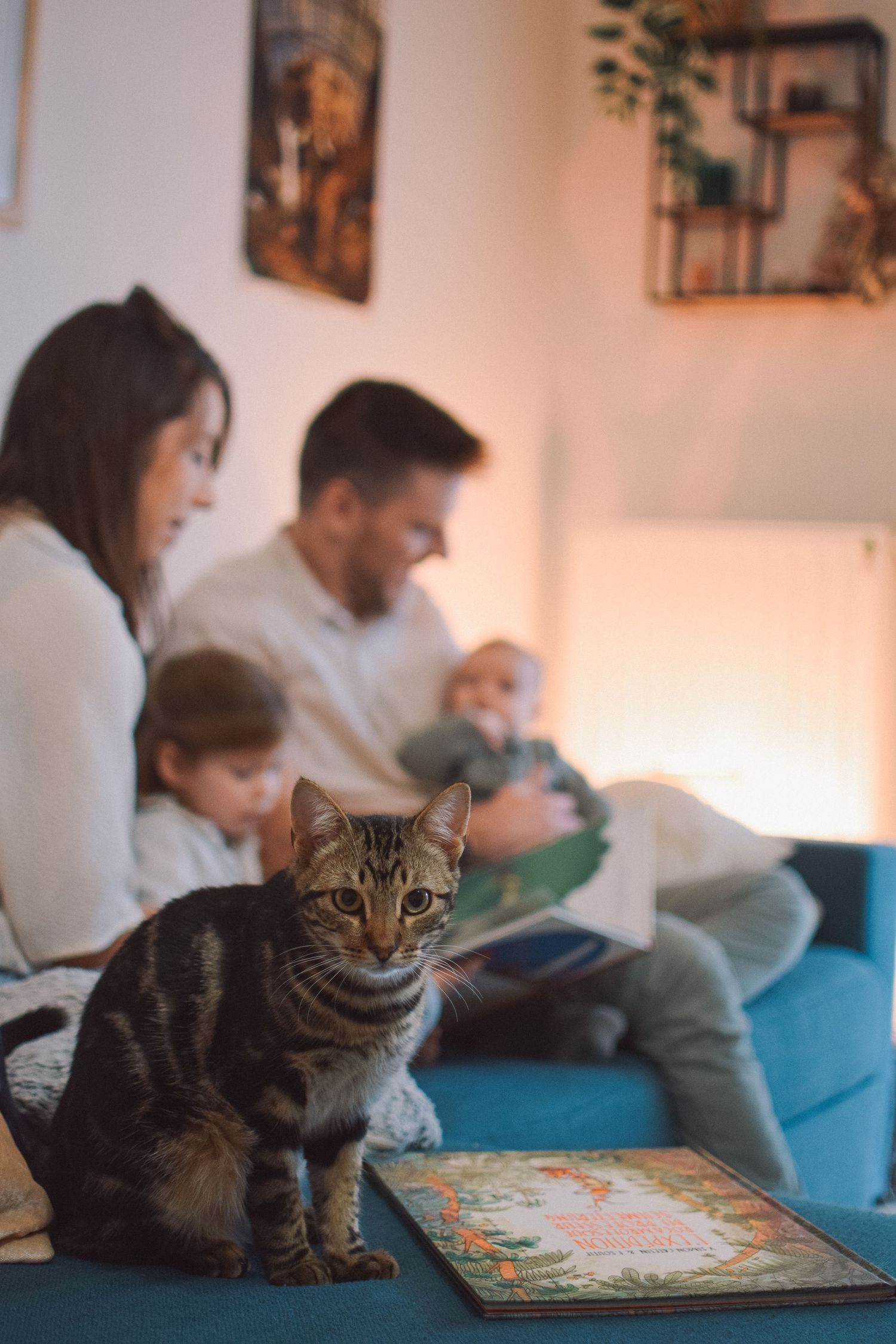 reportage famille photos