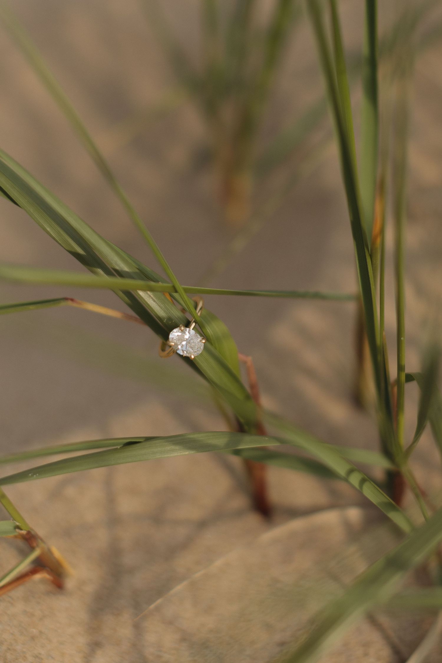 A diamond ring resting on green grass blades with a sandy background in natural outdoor setting.