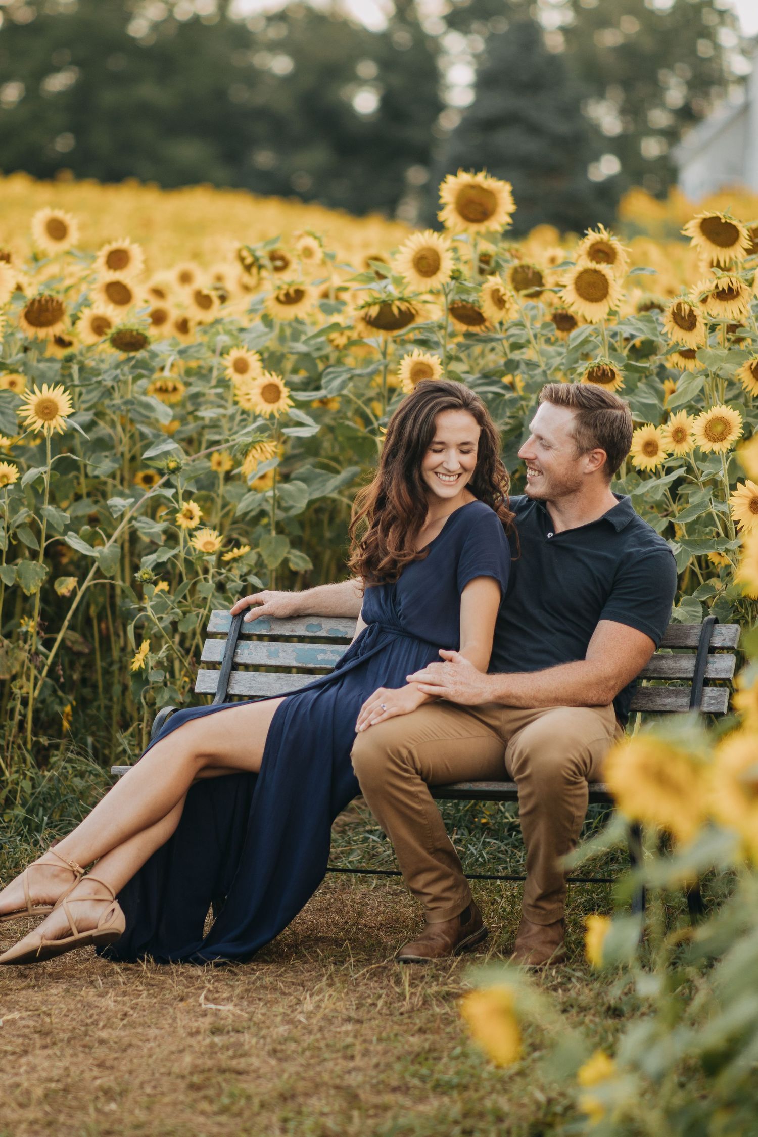 Couple relaxing on bench in beautiful sunflower field at sunset.