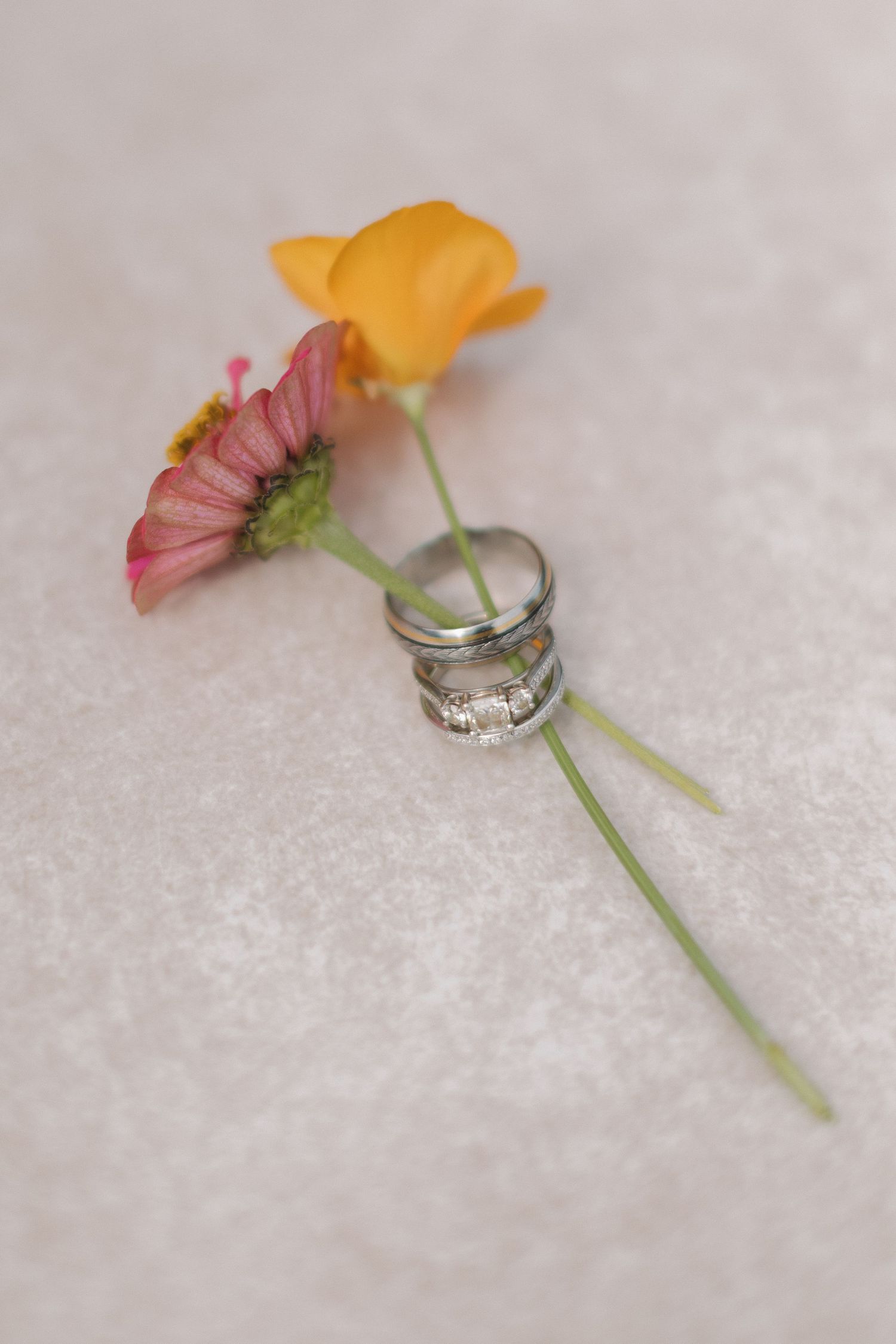 Two silver wedding rings resting on flower stems with a pink daisy and yellow bloom on a soft gray background.
