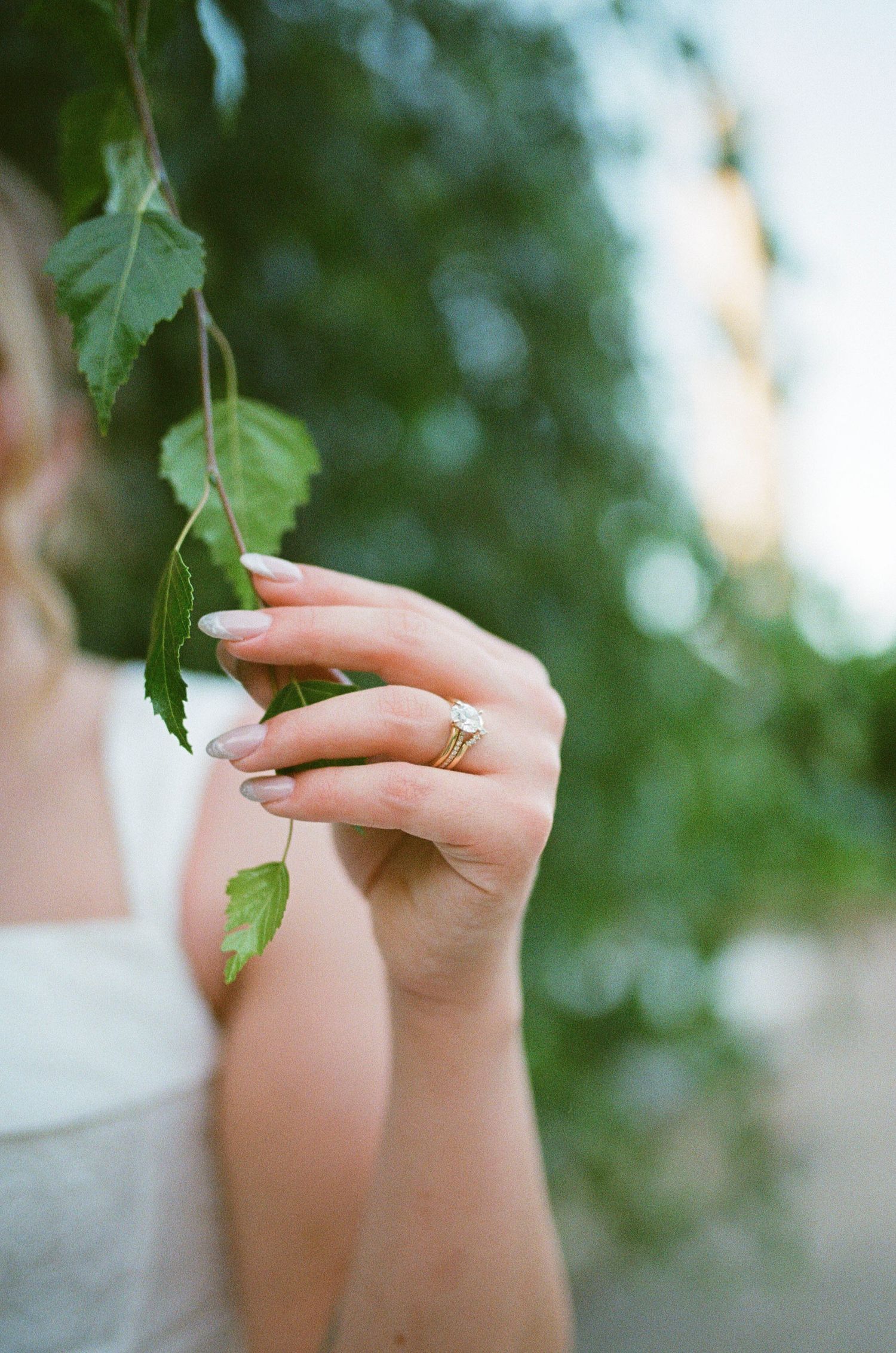 Close-up of a woman's hand with gold rings and nude manicure delicately holding a green leafy branch outdoors.
