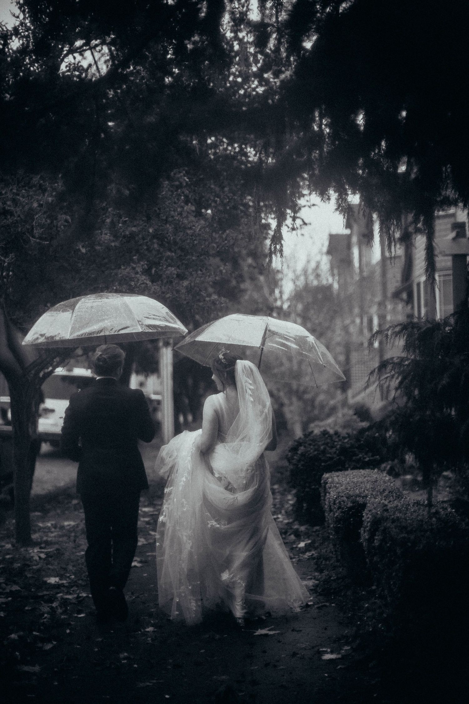 Black and white photo of bride and groom walking under umbrellas in the rain on a tree-lined street.