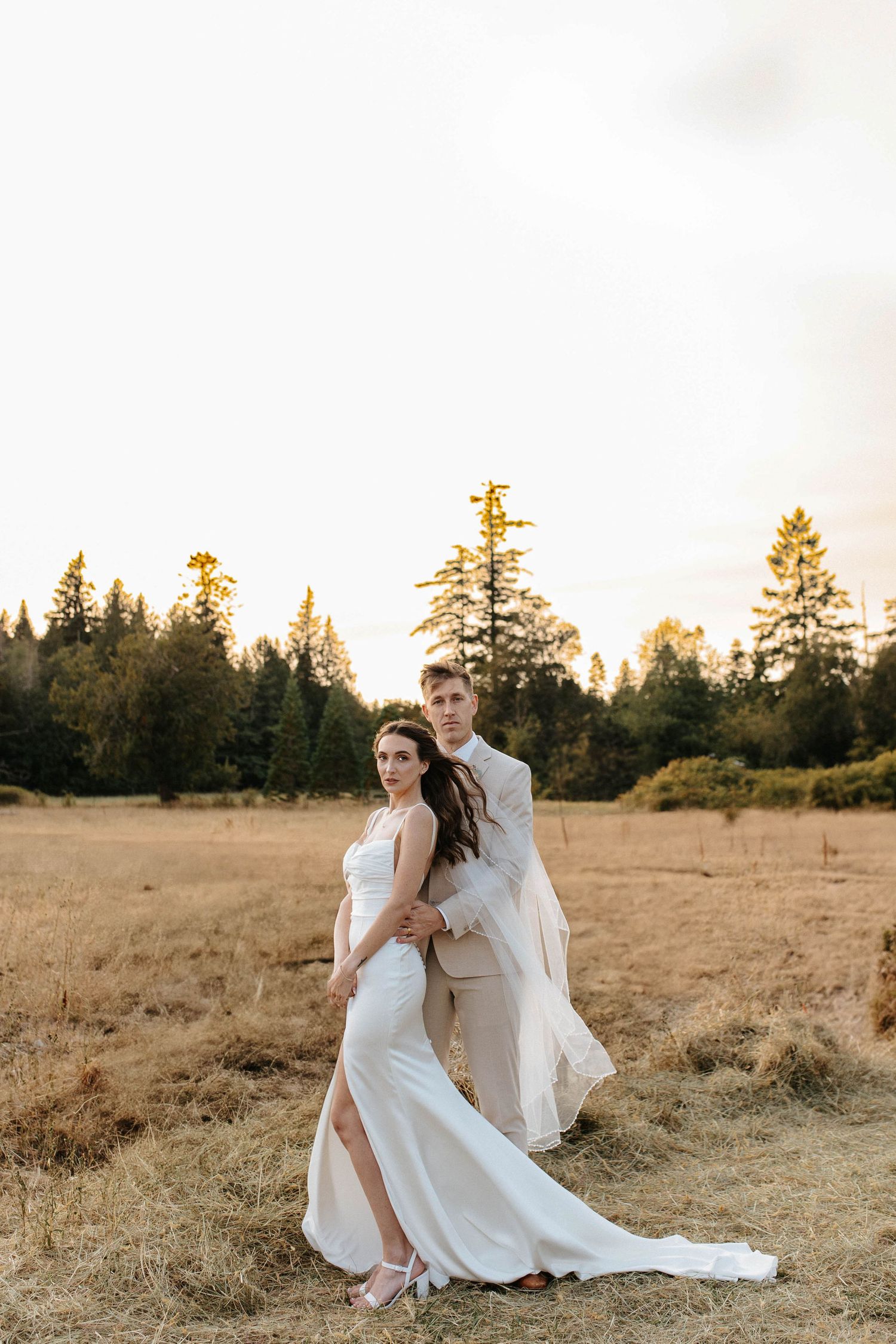 Bride and groom pose in a golden field at sunset surrounded by tall evergreen trees in a forest setting.